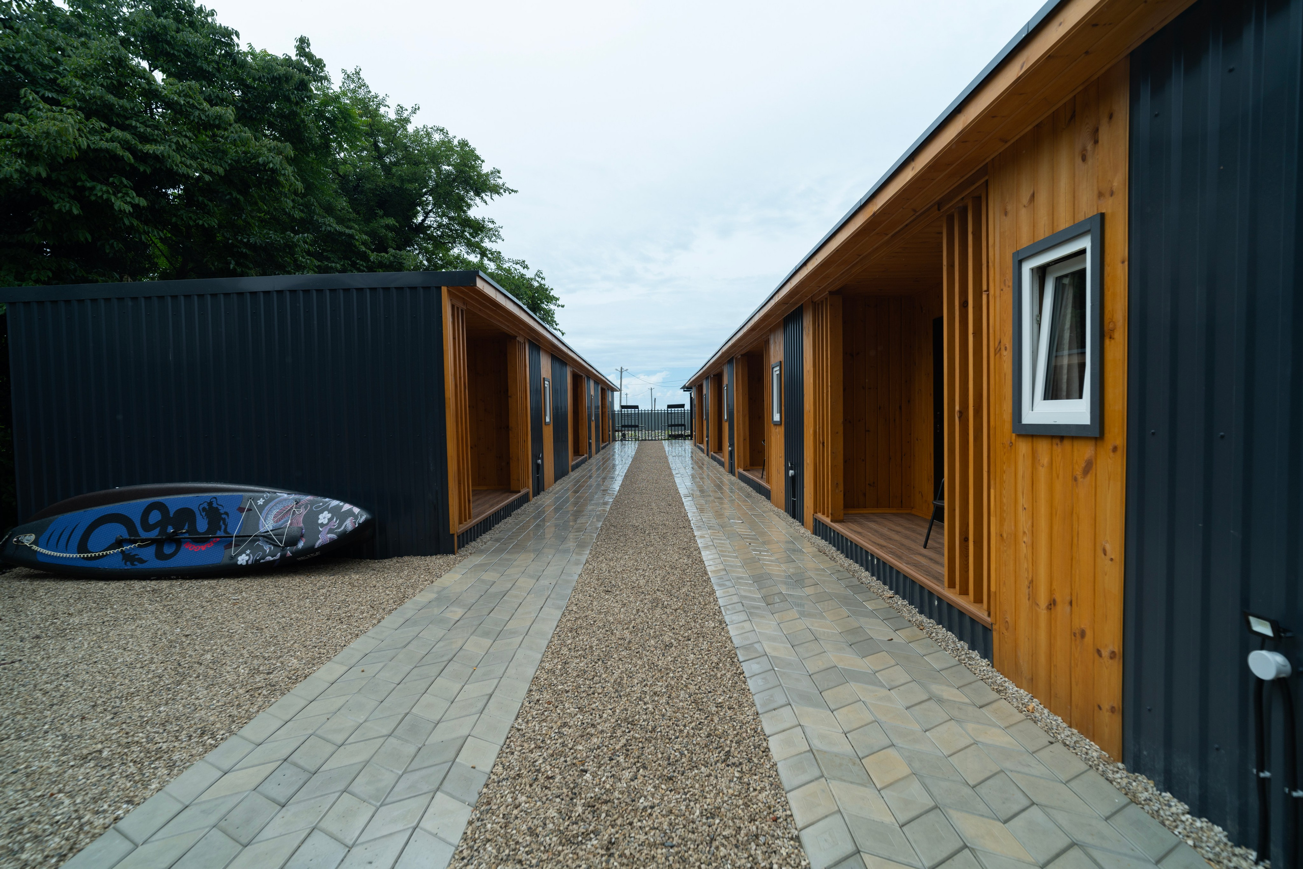 Дионис. Главная