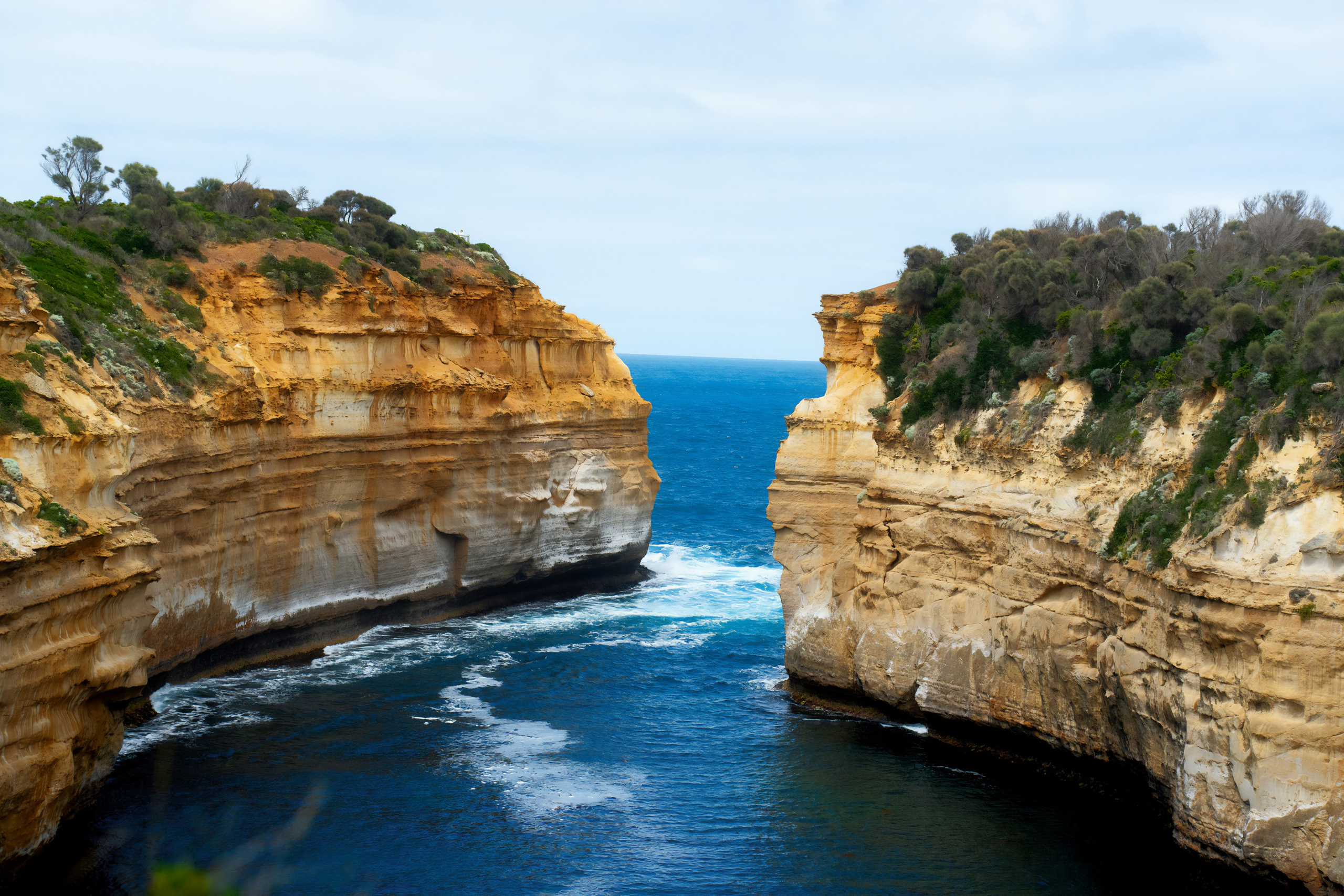 Портфолио. Фотограф в Хабаровске. Фотография за 24 часа