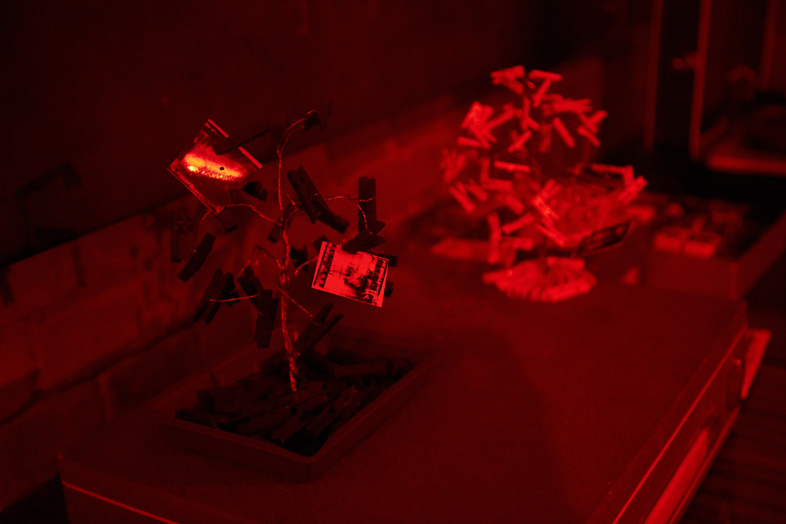 Выставка Cubo Libre. Фотограф Савченко Люба. Москва