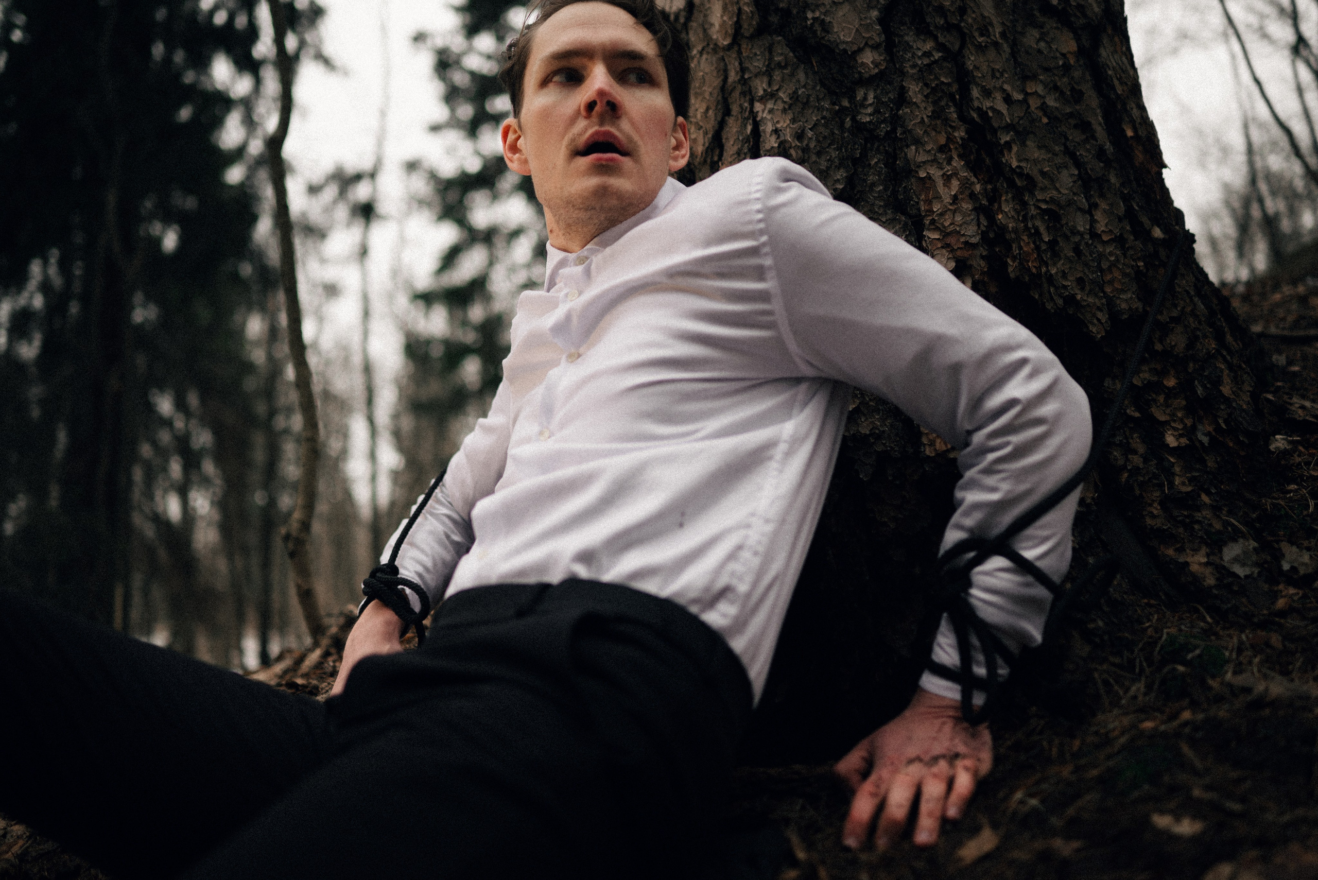 Фёдор Ивицкий (Всеволожск). Непарадное в парадных