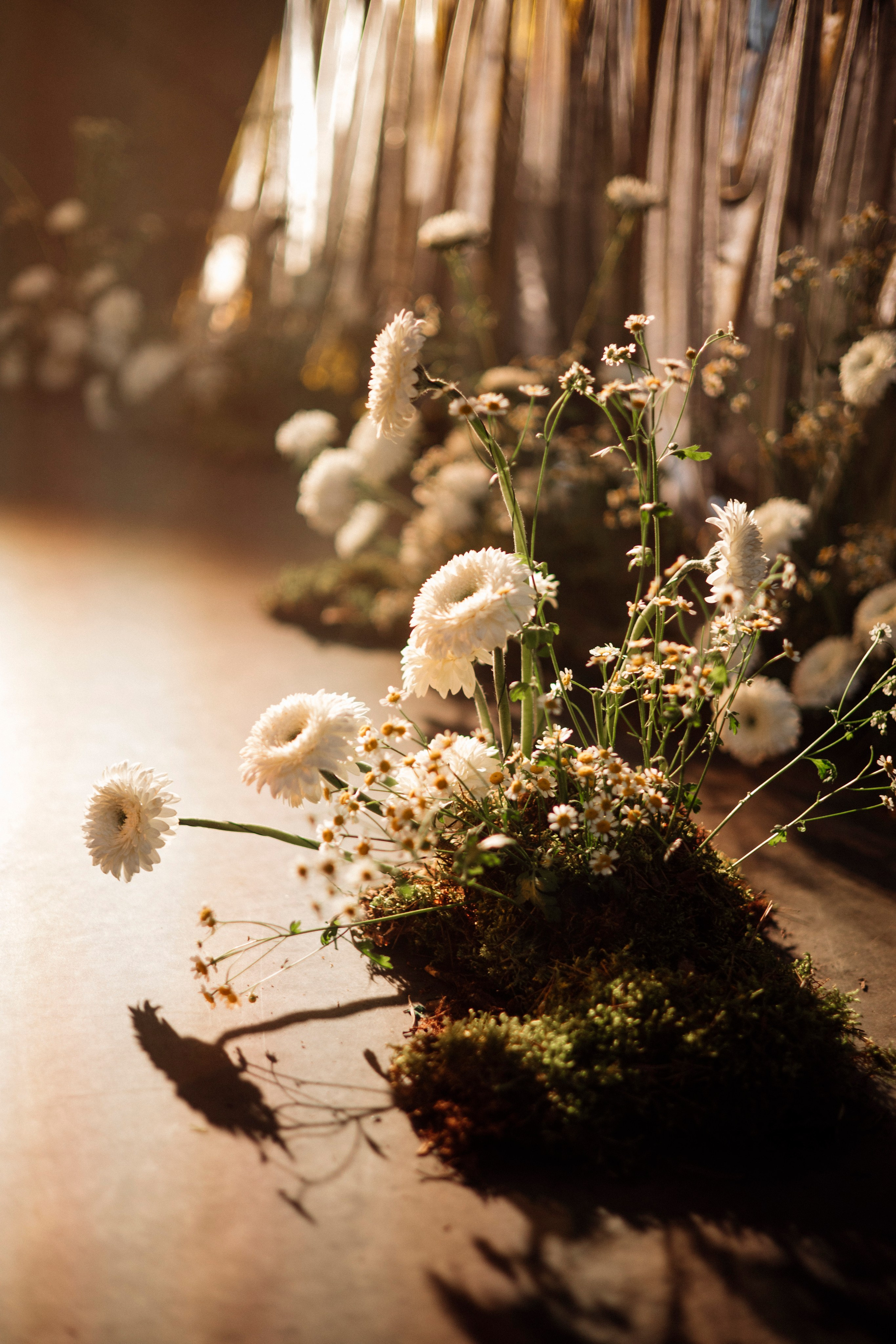 Артём и Вероника pine river. Nikolpinhasova