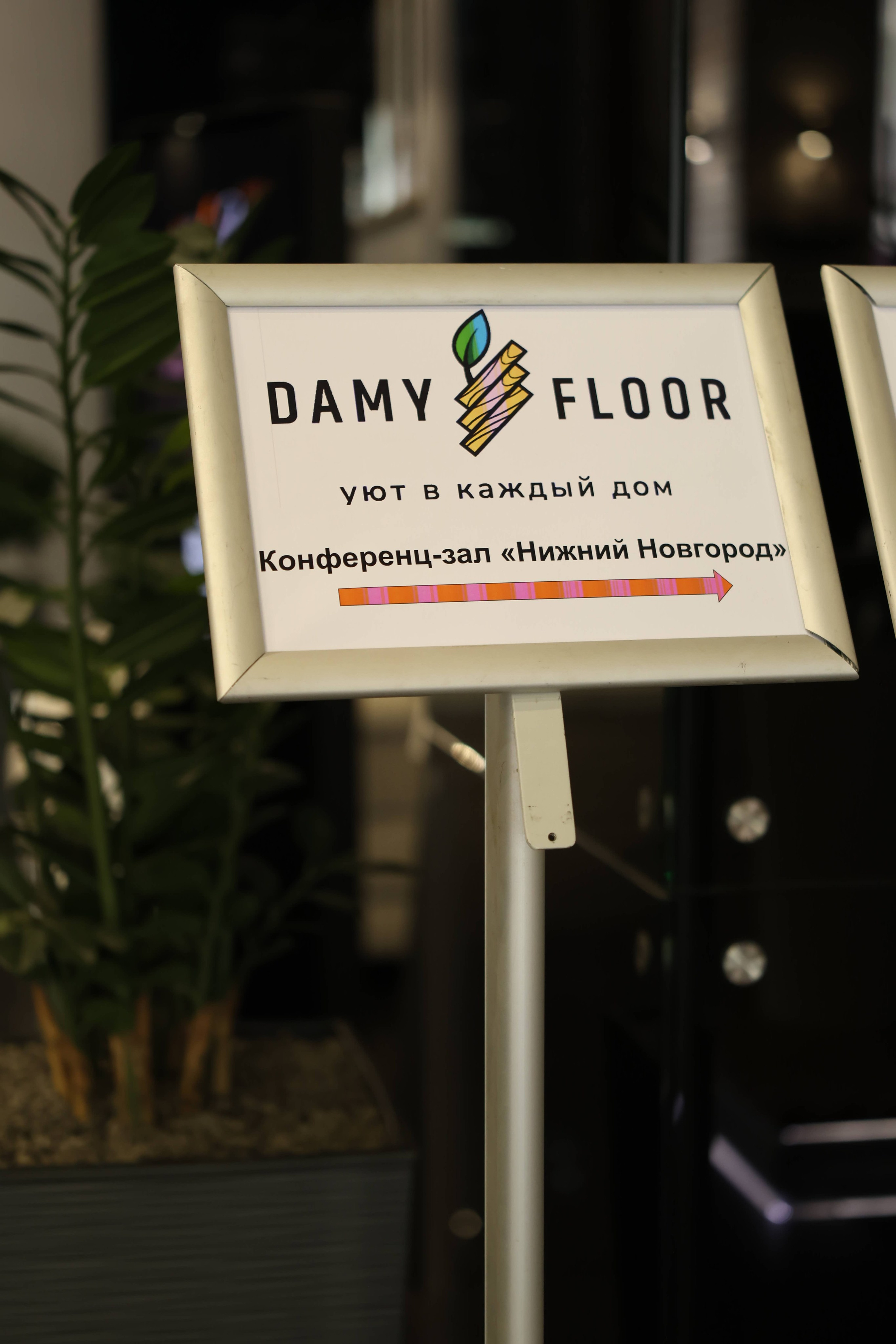 Damy Floor