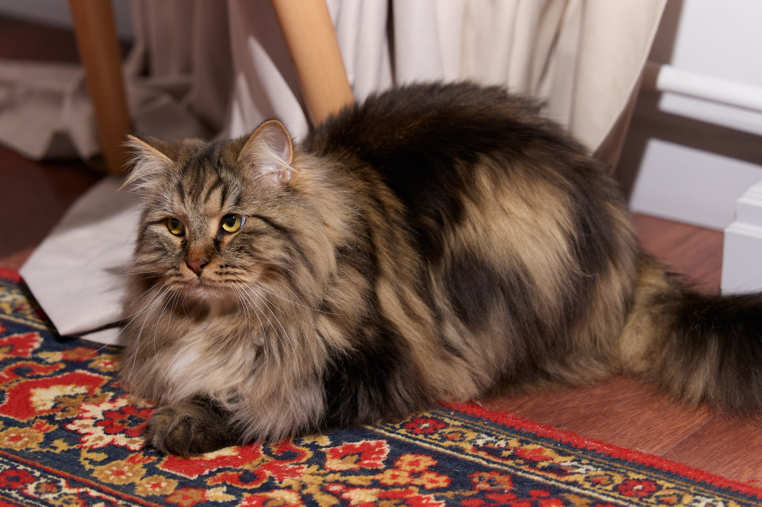 Пасхальный завтрак. Фотограф и видеограф в Кургане Леонид Корнильев