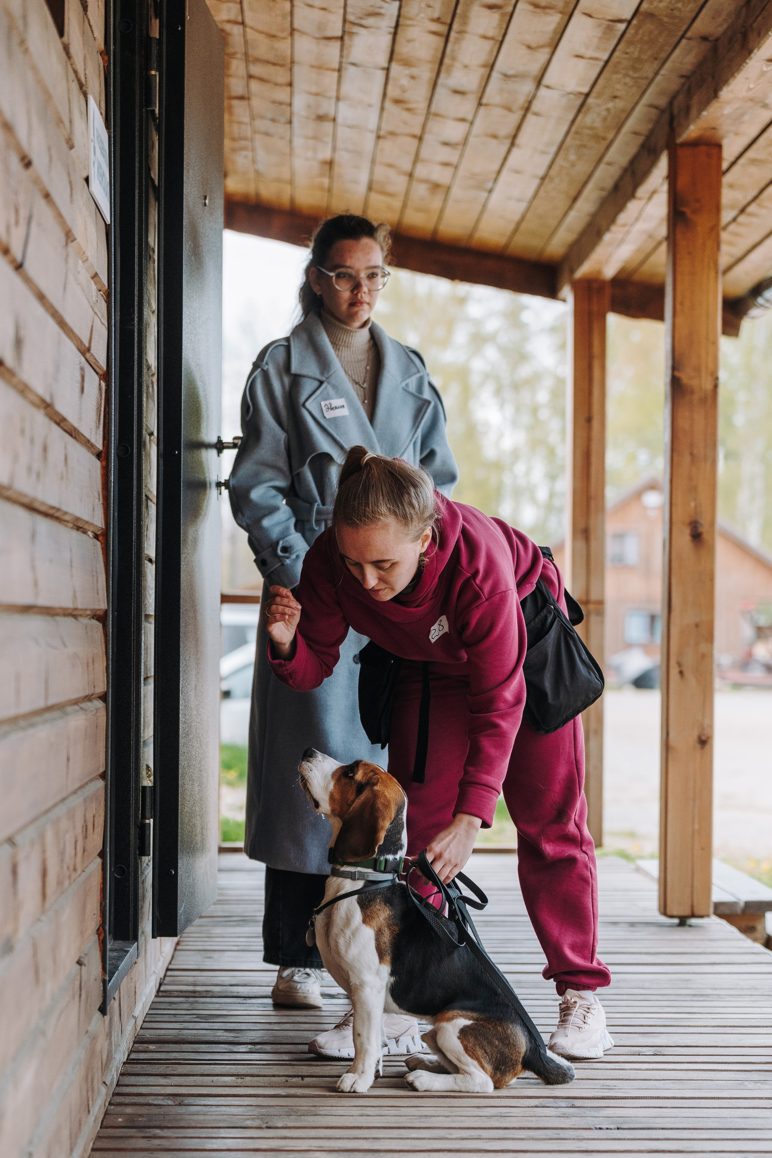 Соревнования по ноузворку в Лосево. Фотограф анималист в Спб недорого Олеся Майорова