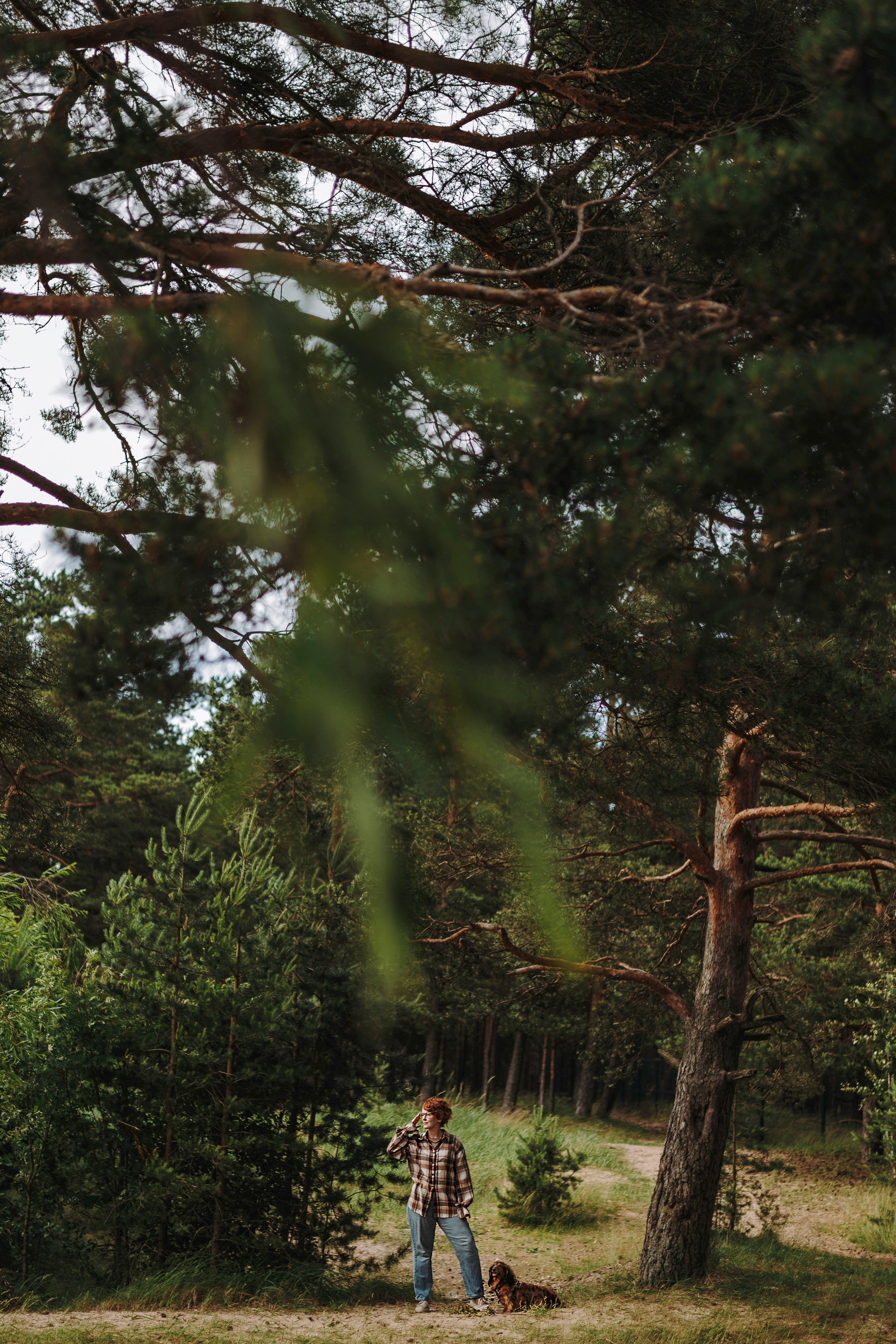 Фотосессия с длиношерстной таксой на пляжн. Фотограф анималист в Спб недорого Олеся Майорова