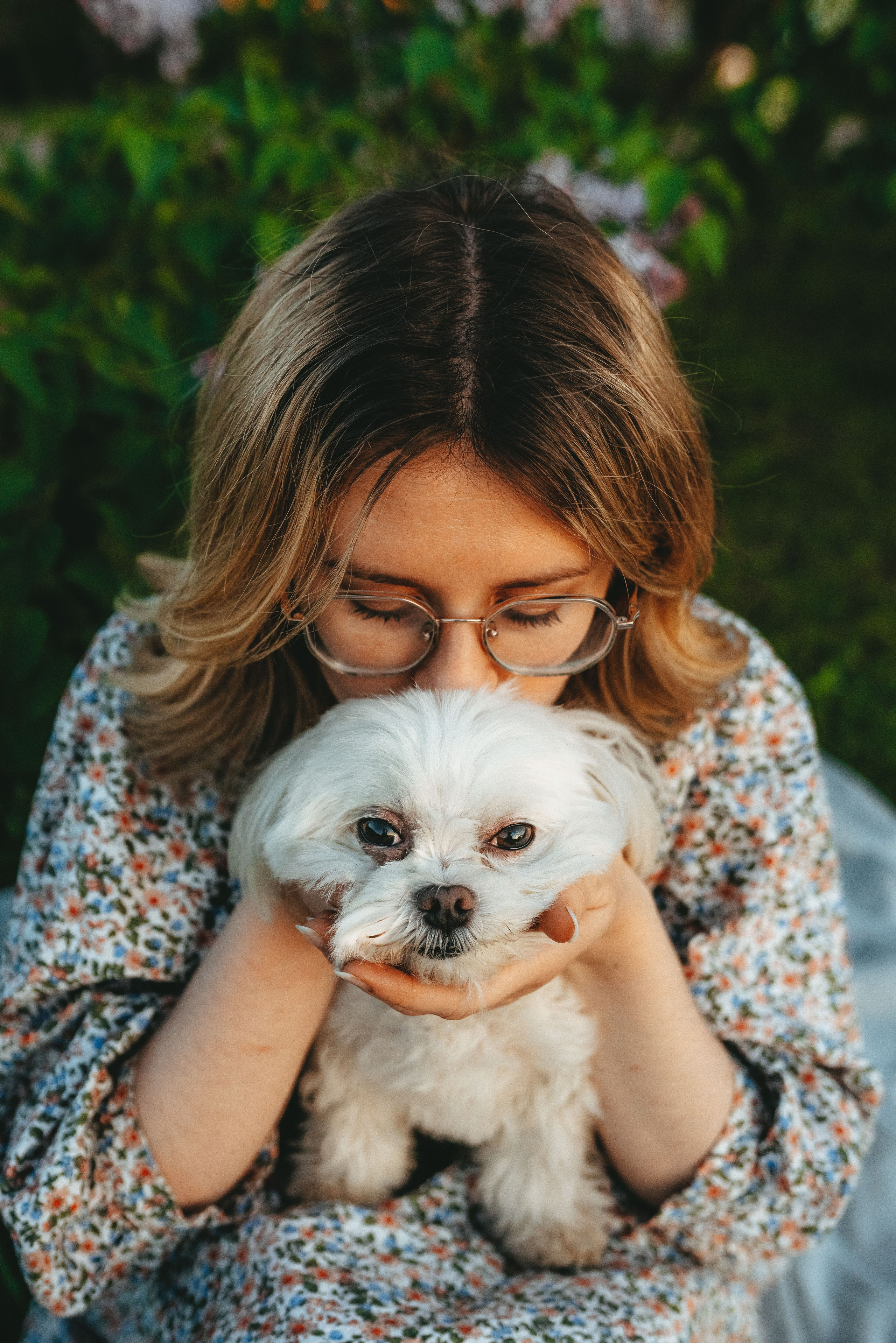 Фотосессия с питомцем в центре Санкт-Петербурга. Фотограф анималист в Спб недорого Олеся Майорова