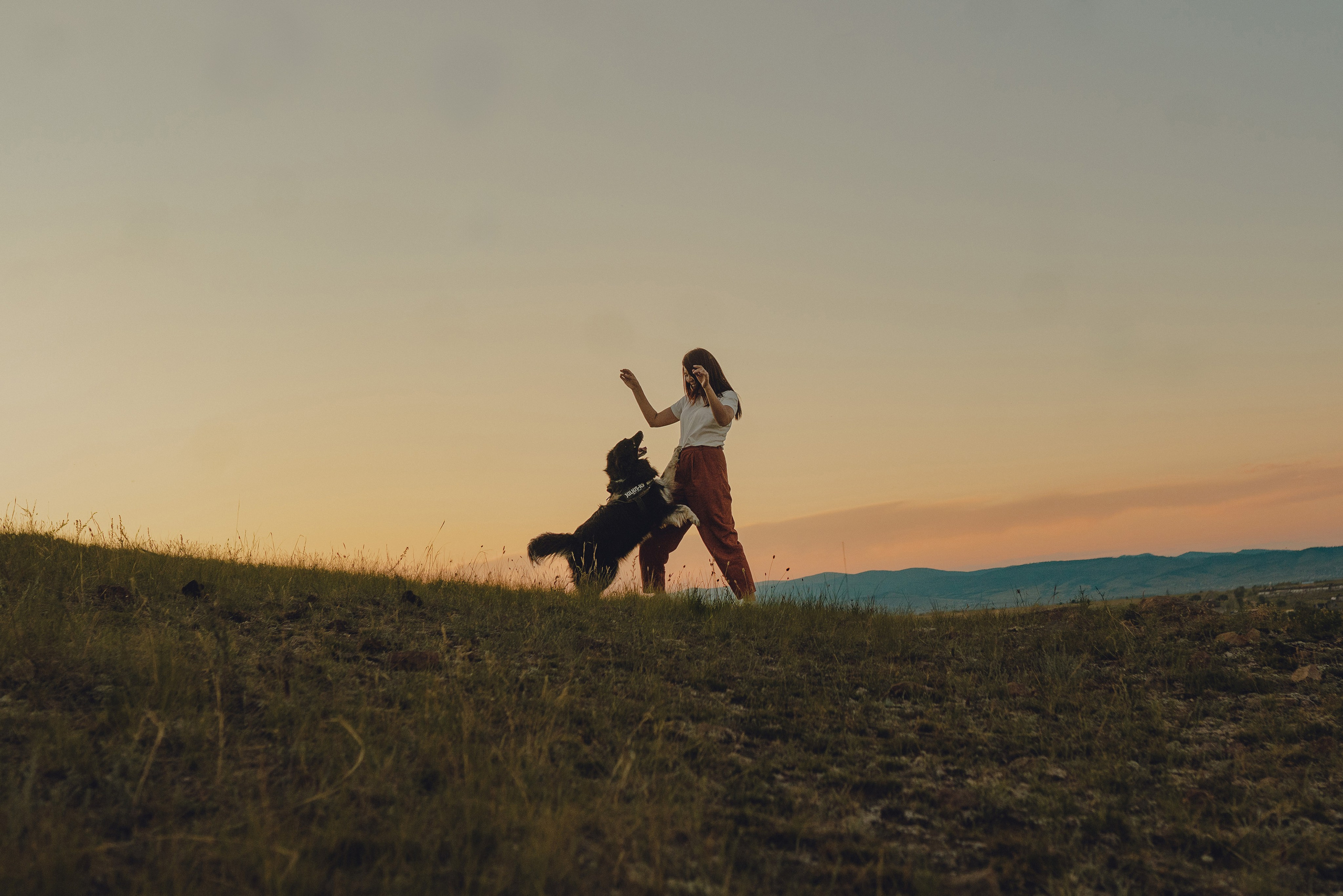 Настя и Умка. Фотограф анималист в Спб недорого Олеся Майорова