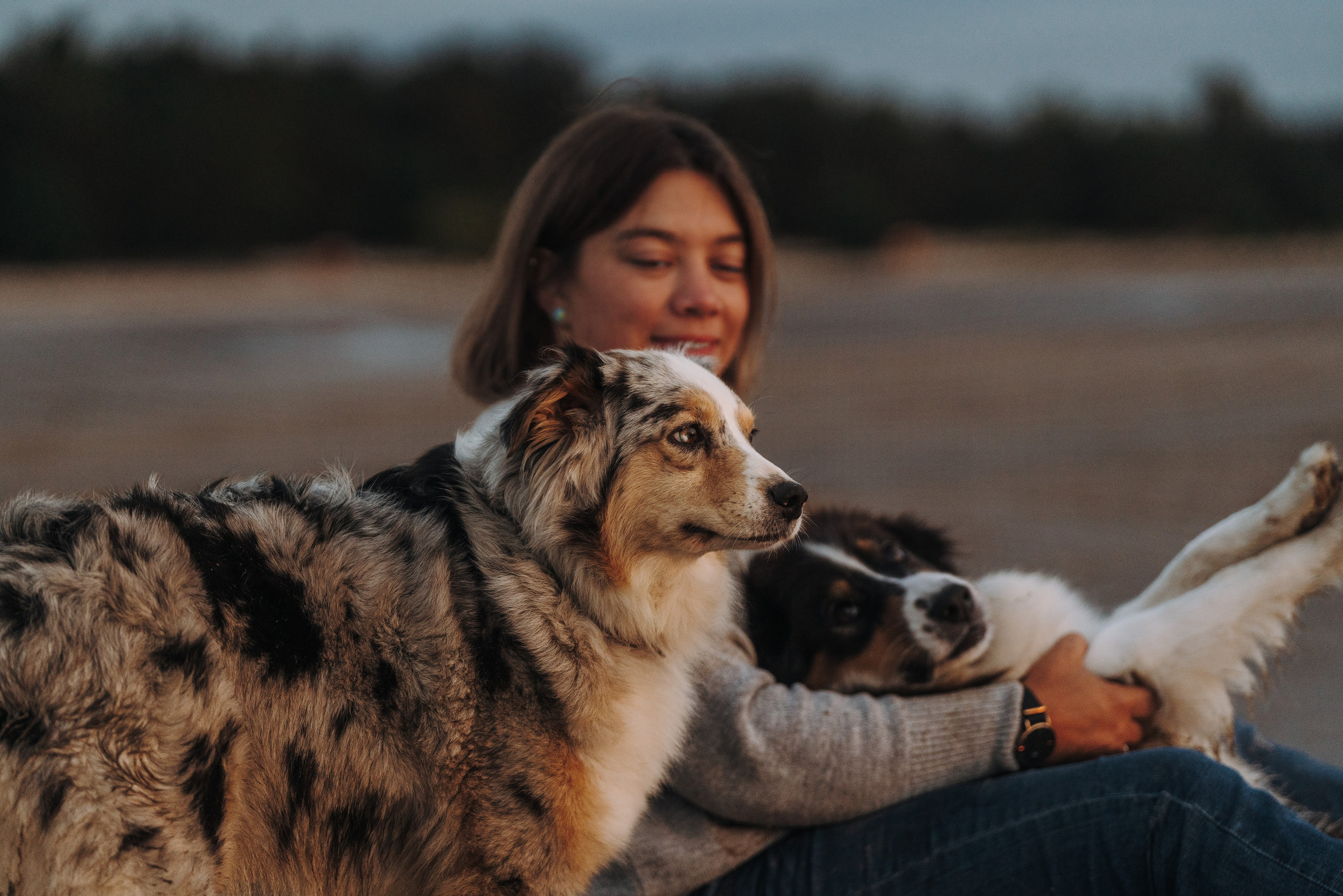 Фотограф анималист в Спб. Фотограф анималист в Спб недорого Олеся Майорова