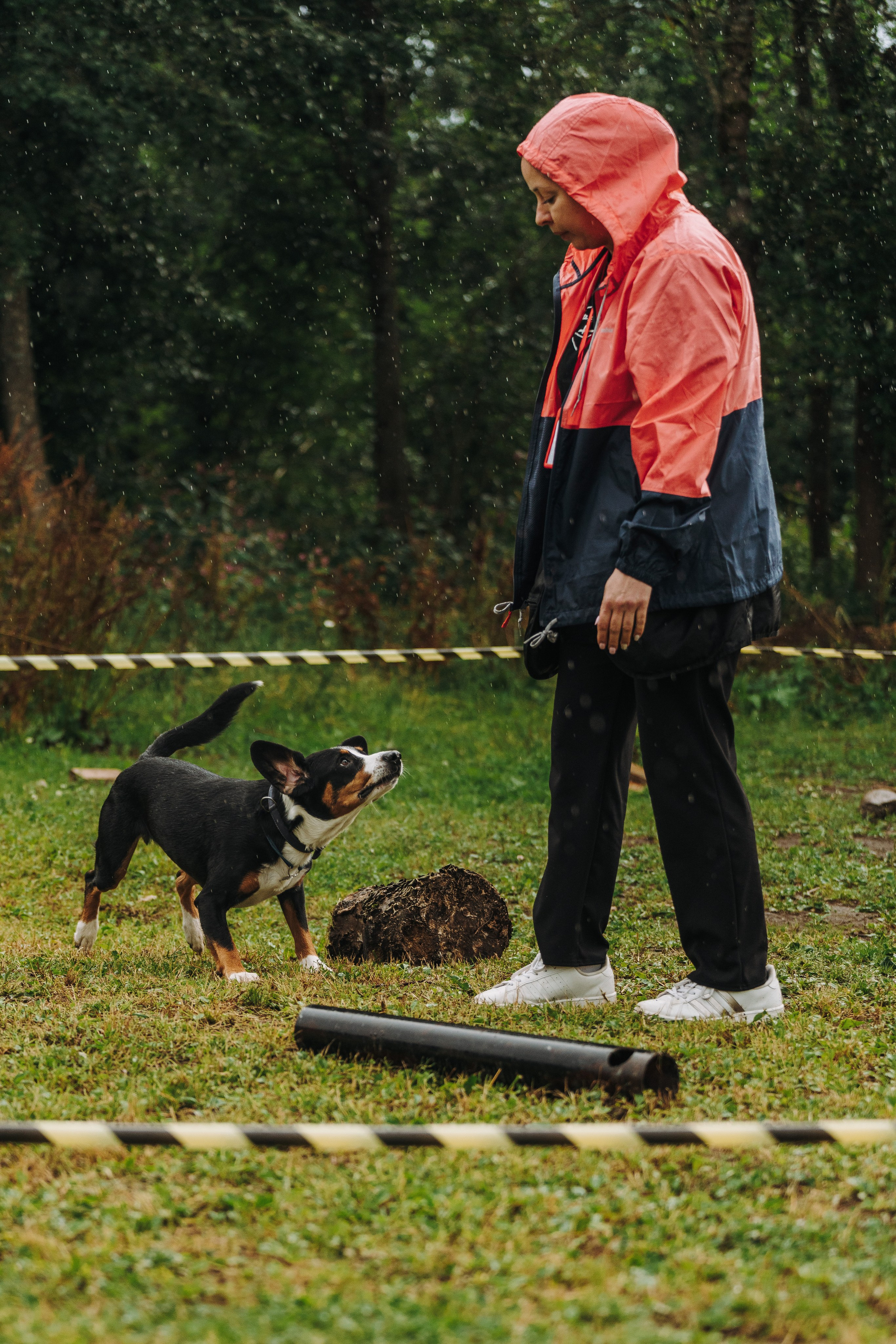 Соревнования по ноузворку в Новожилово. Фотограф анималист в Спб недорого Олеся Майорова