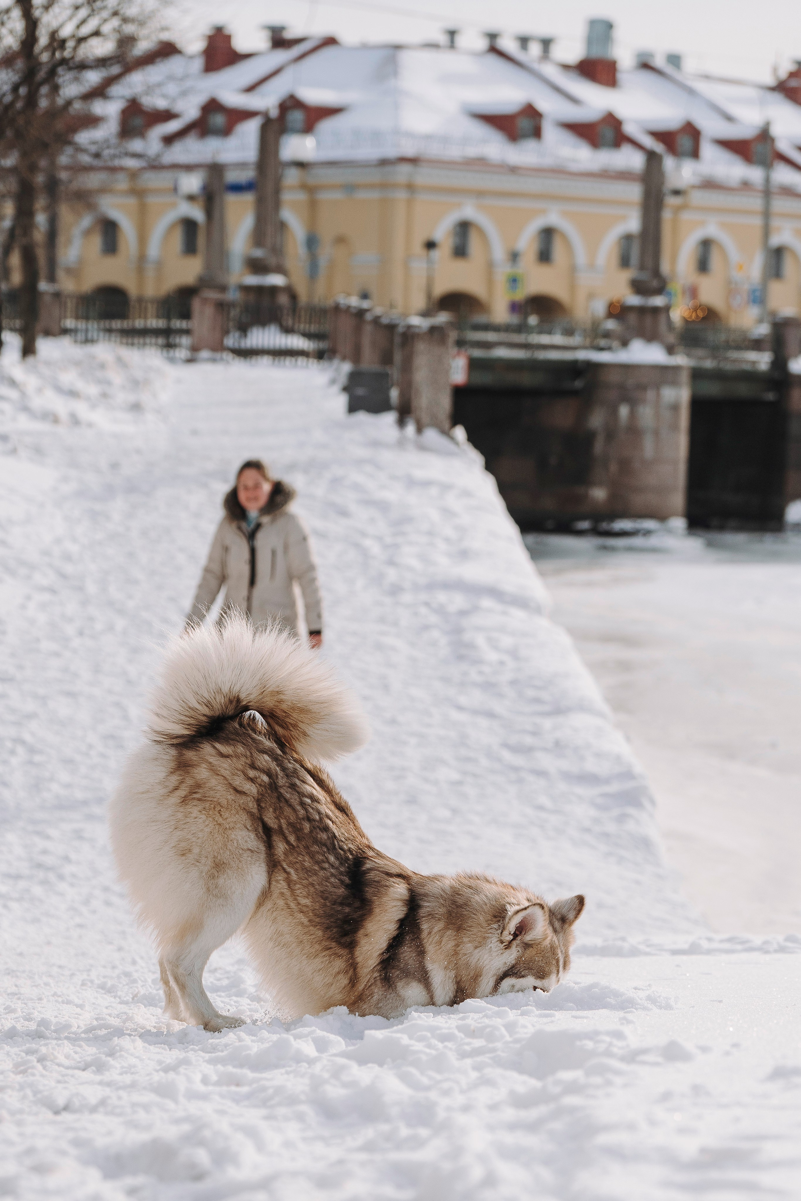 Мария и Амелия. Фотограф анималист в Спб недорого Олеся Майорова