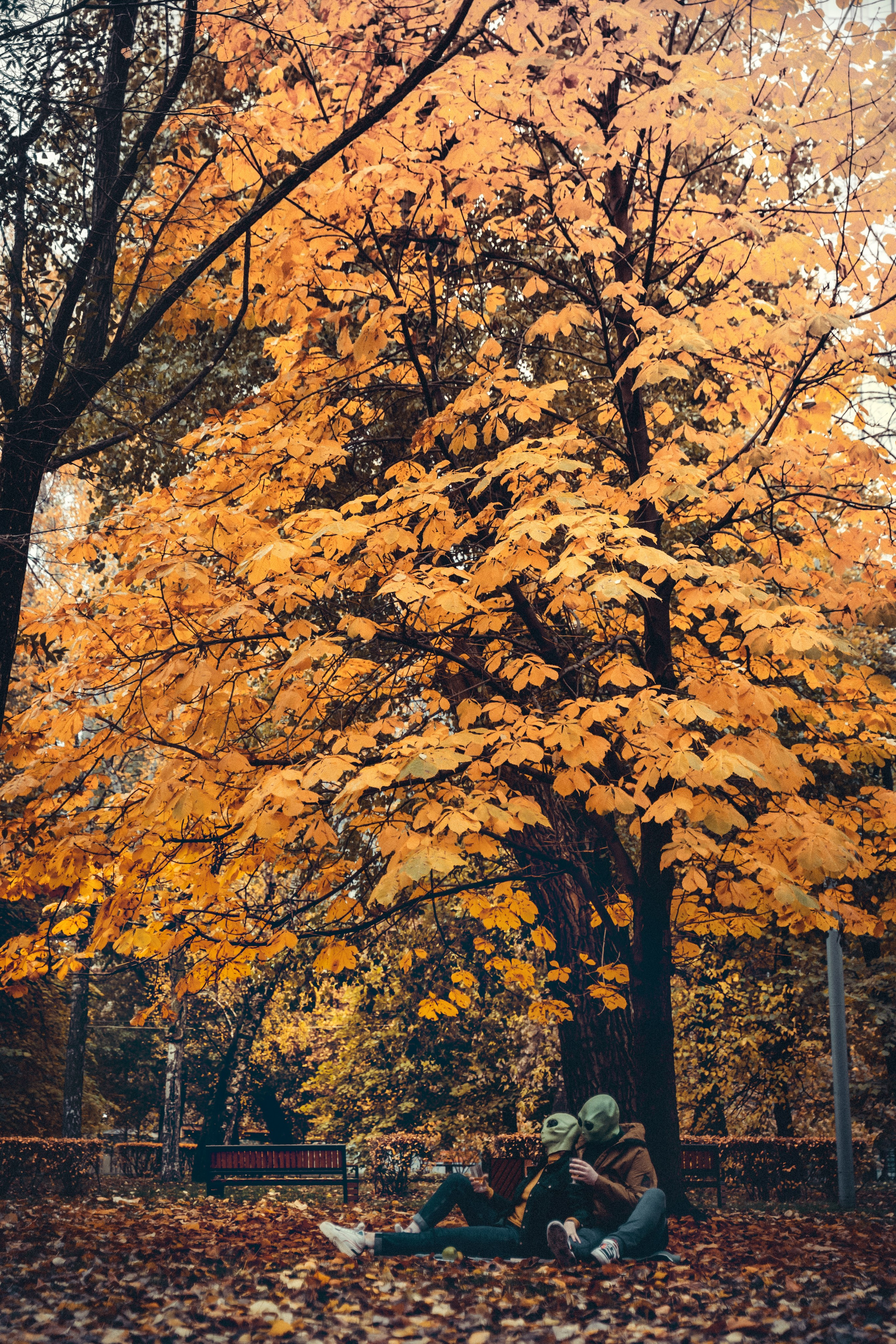 UFO L o v e s t o r y. Контент фотограф в Москве Кулич Настя