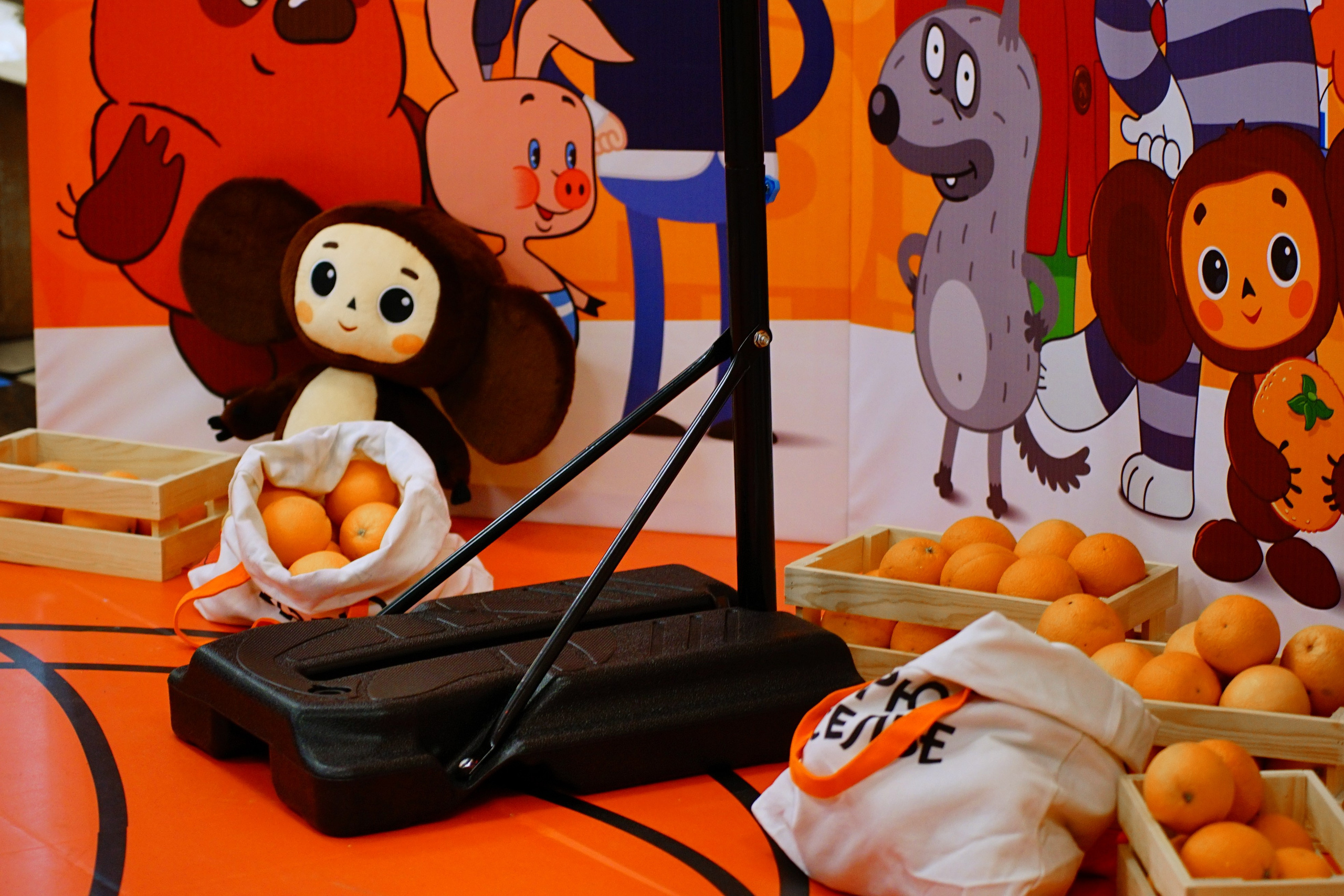 Репортажная съемка в  Тюмени Александр Шалагин