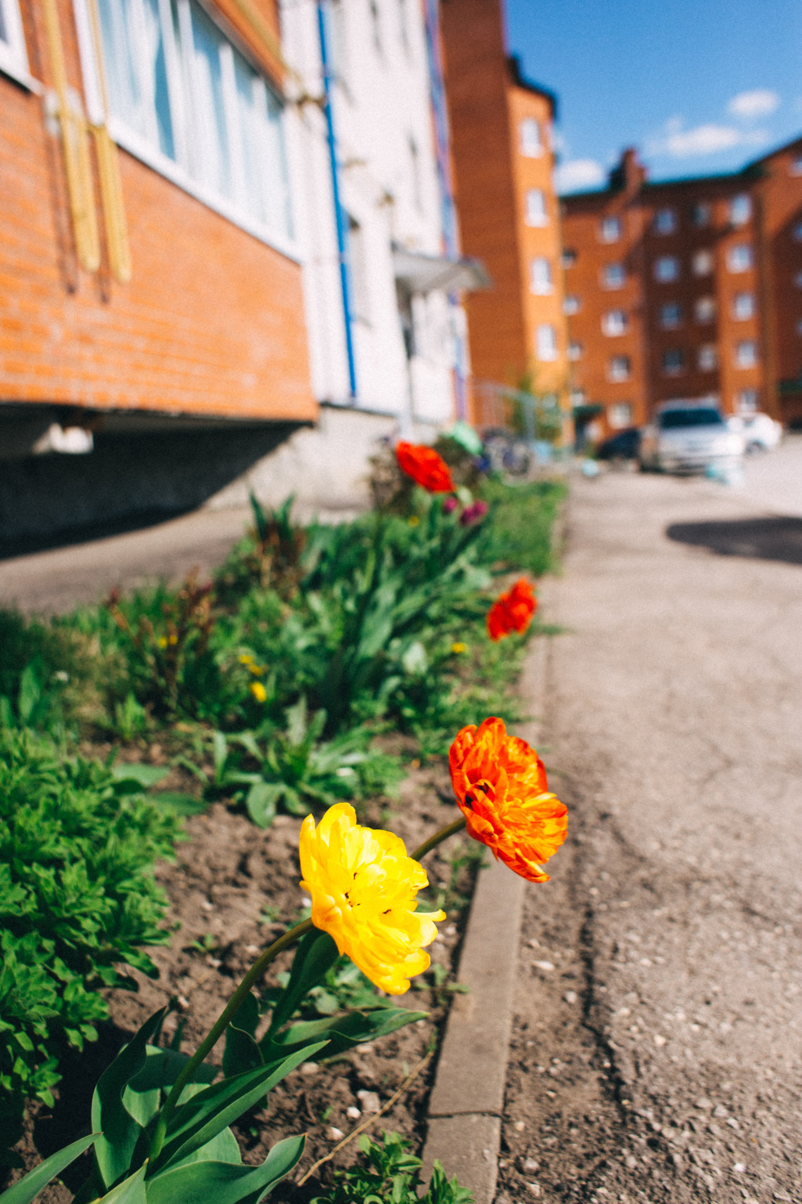 Москва- Рязань 2021. Фотограф в Нижнем Новгороде