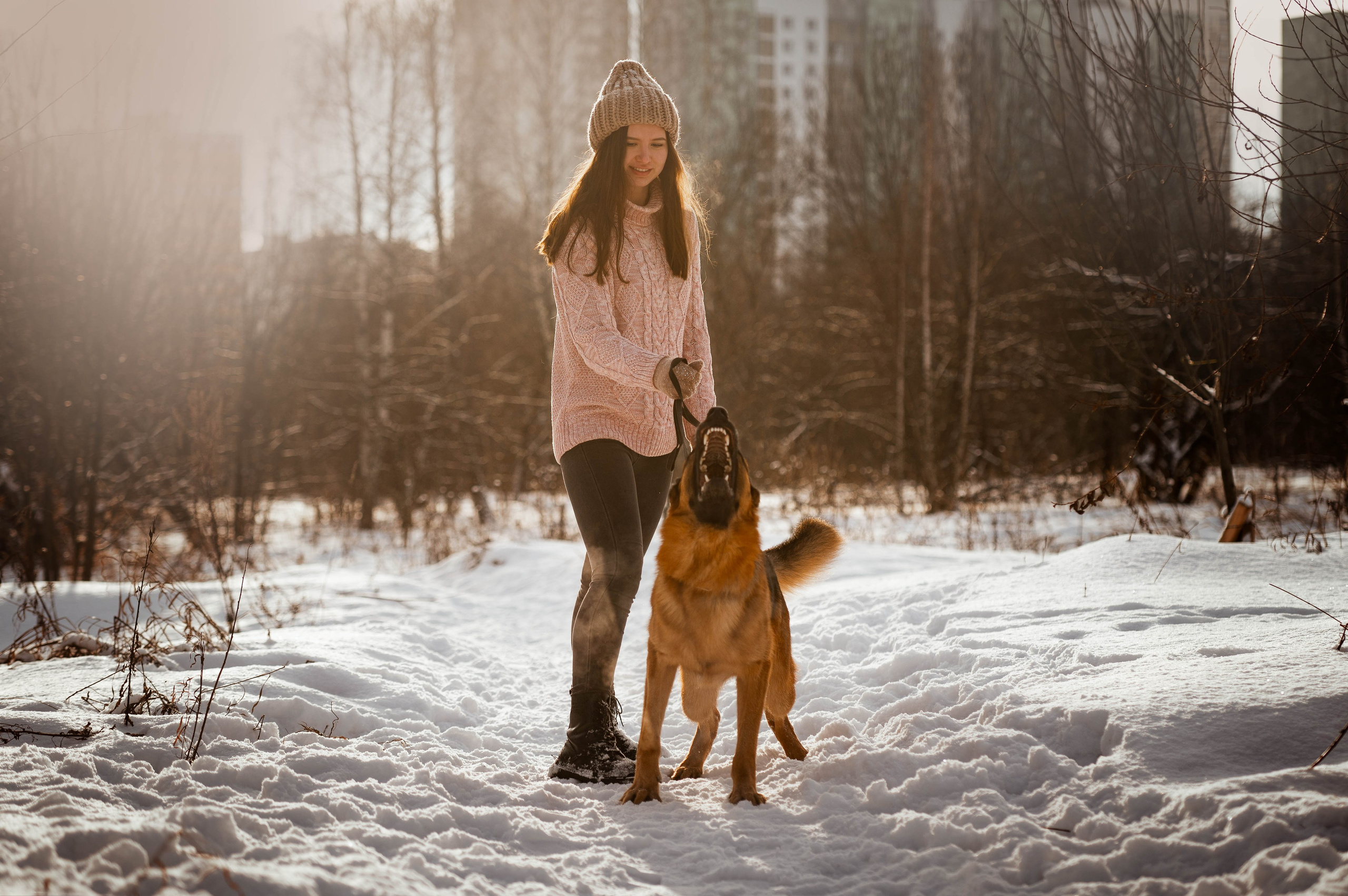 Вольт. Фотограф-анималист
