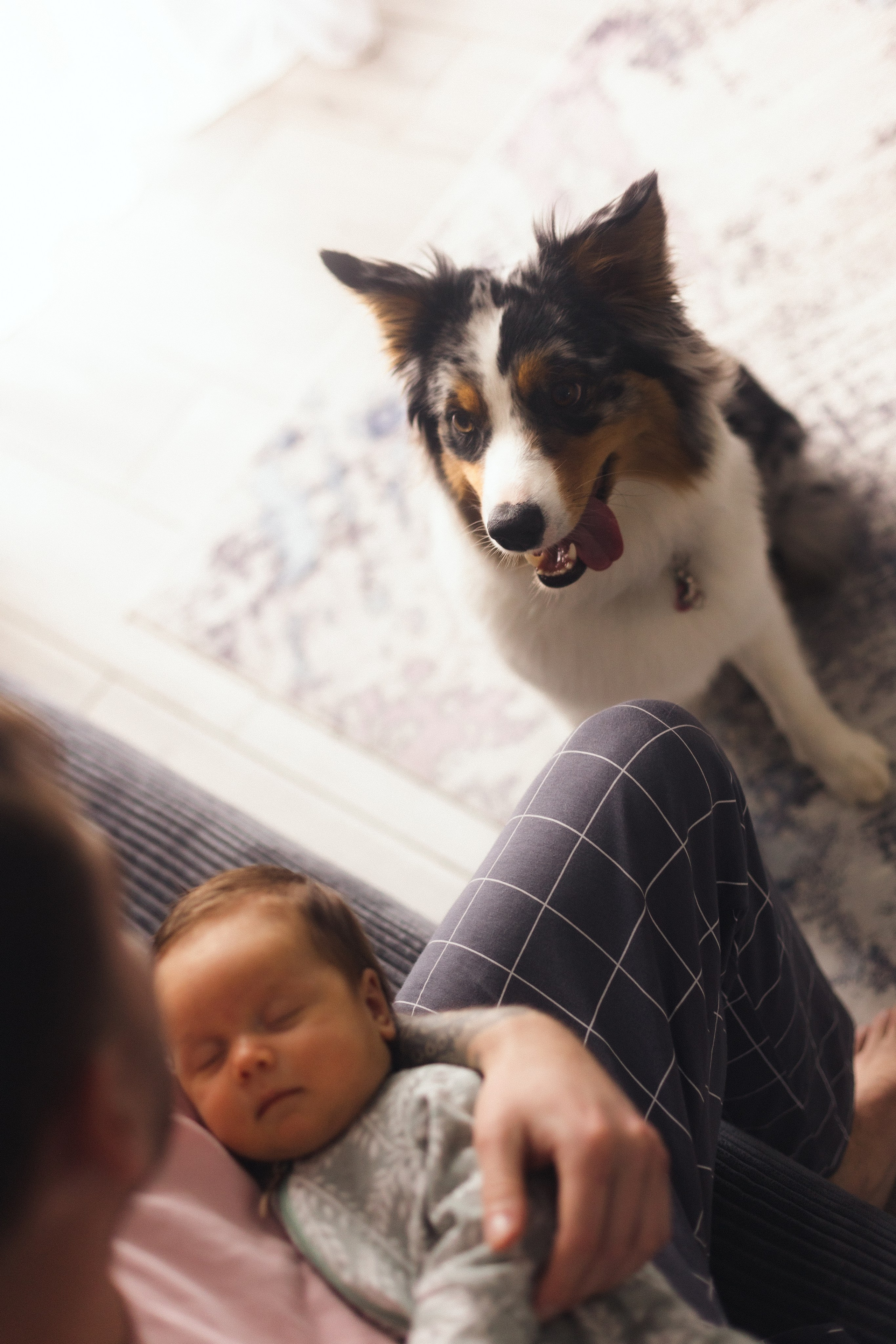 Появление брата. Фотограф из Петербурга