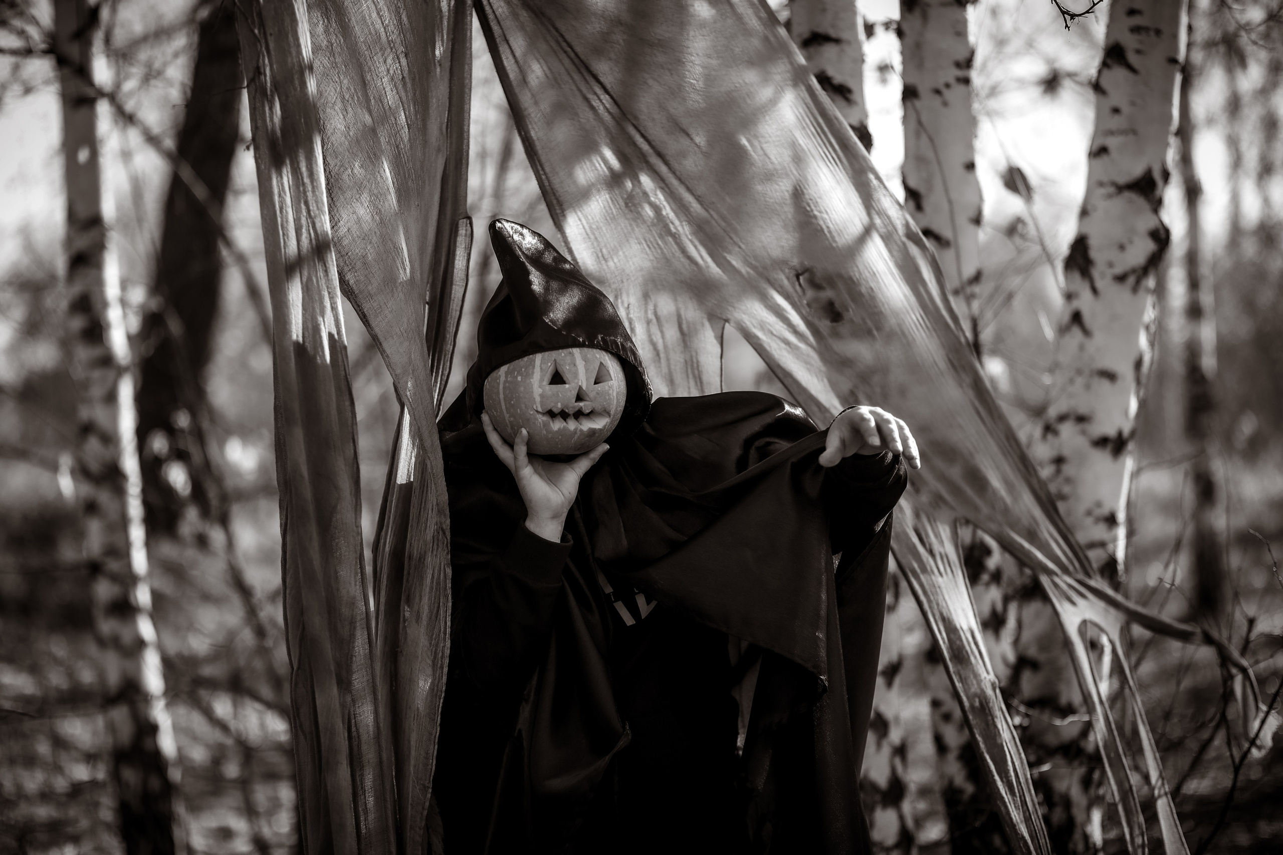 В ожидании Halloween. Art my Pho