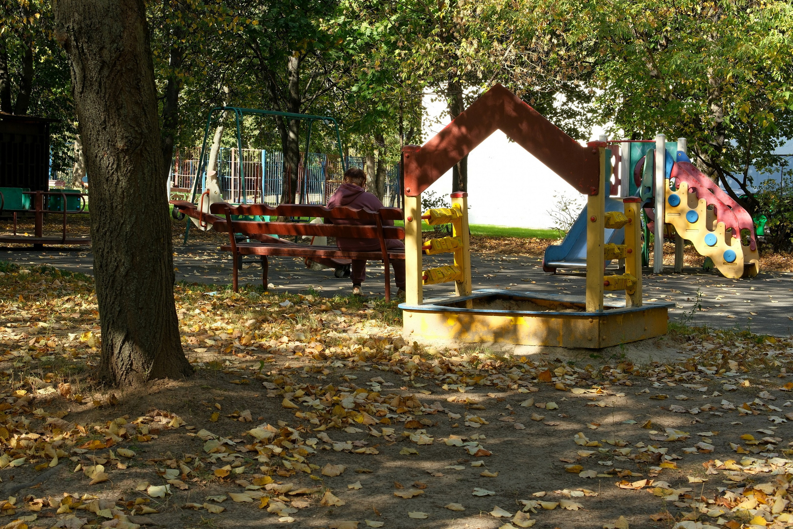 Сентябрь 2025. Улица, люди, жизнь…