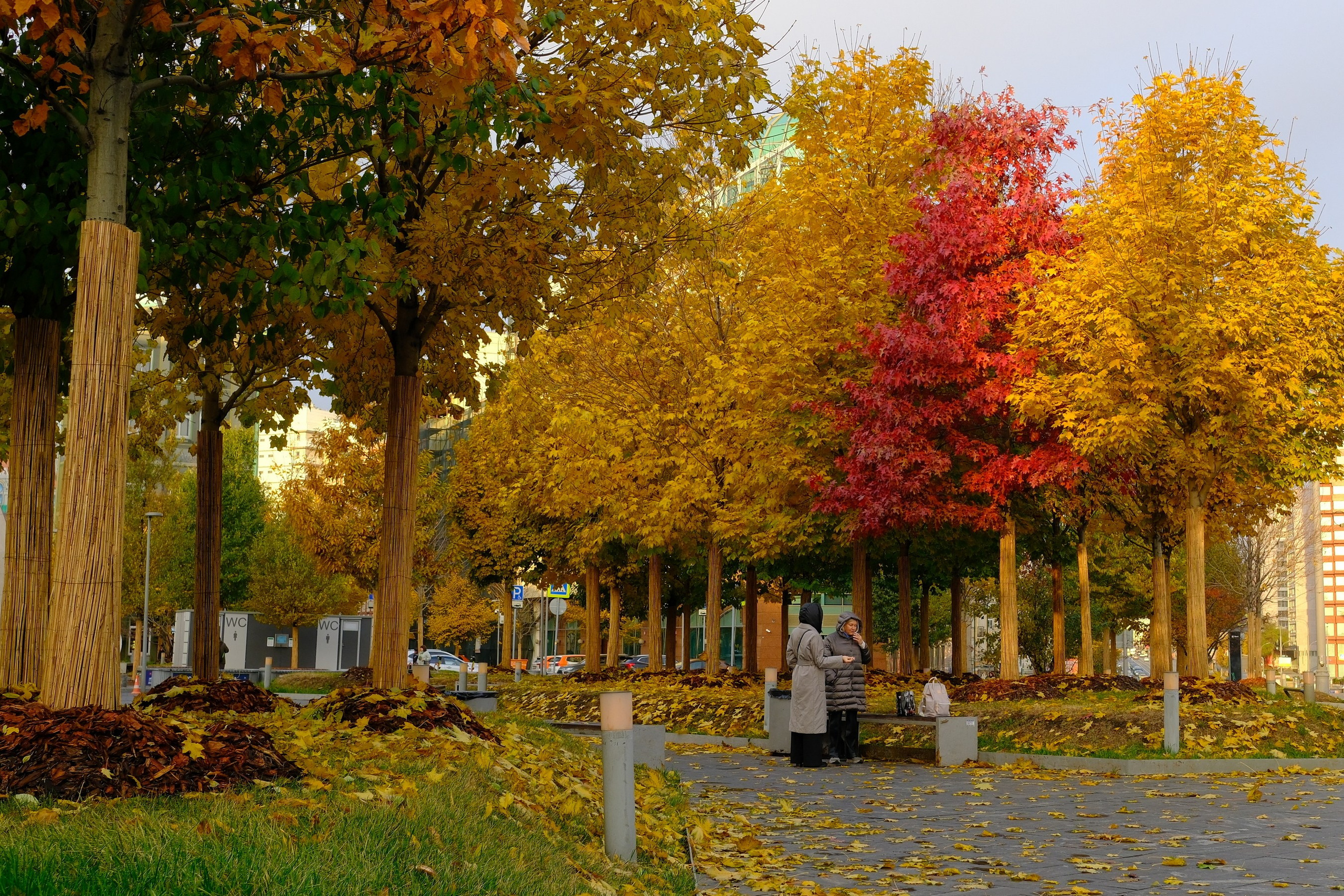 Улица, люди, жизнь…