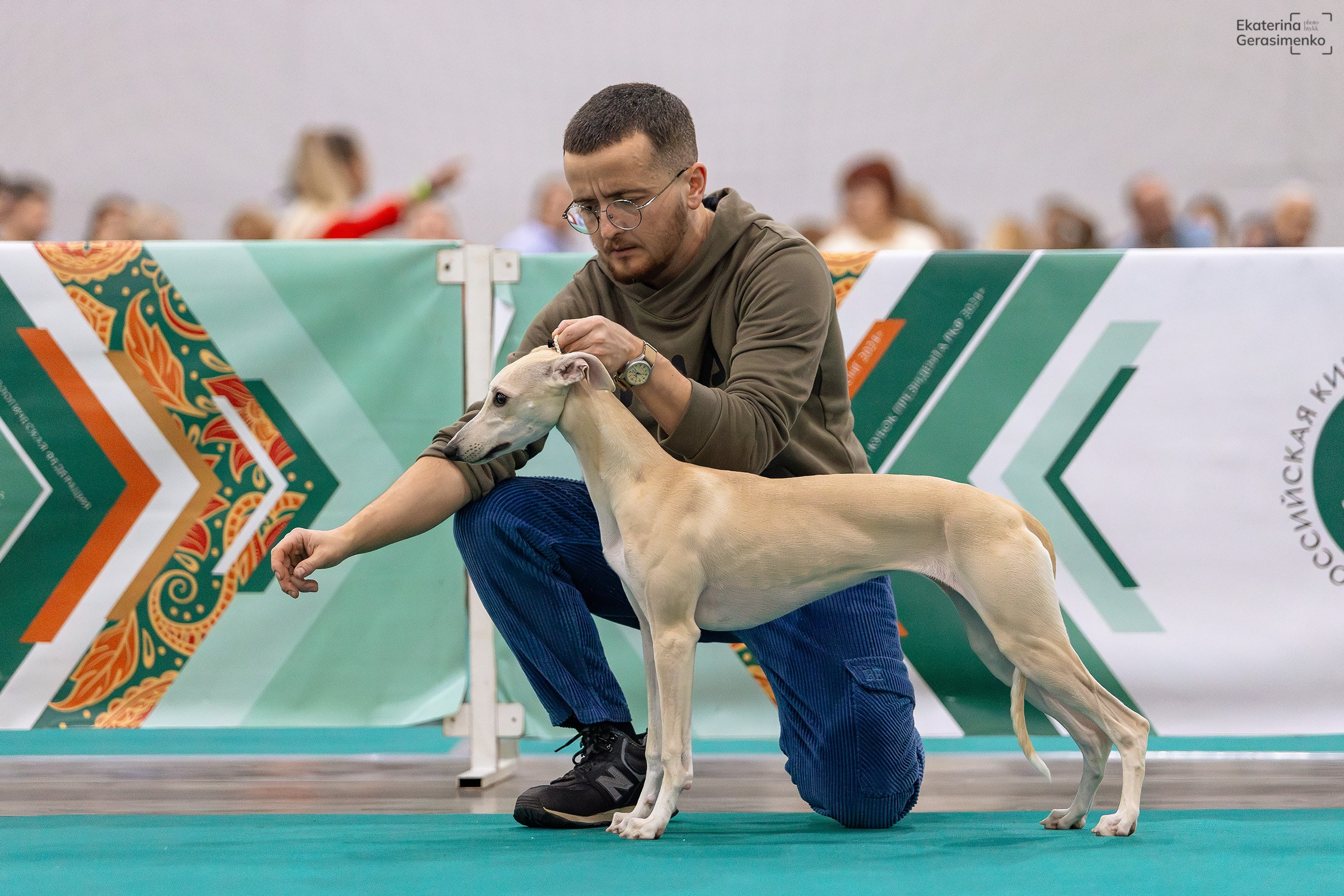 16–17 ноября 2024, Выставка ЕВРАЗИЯ, г. Москва. Htykk_photo