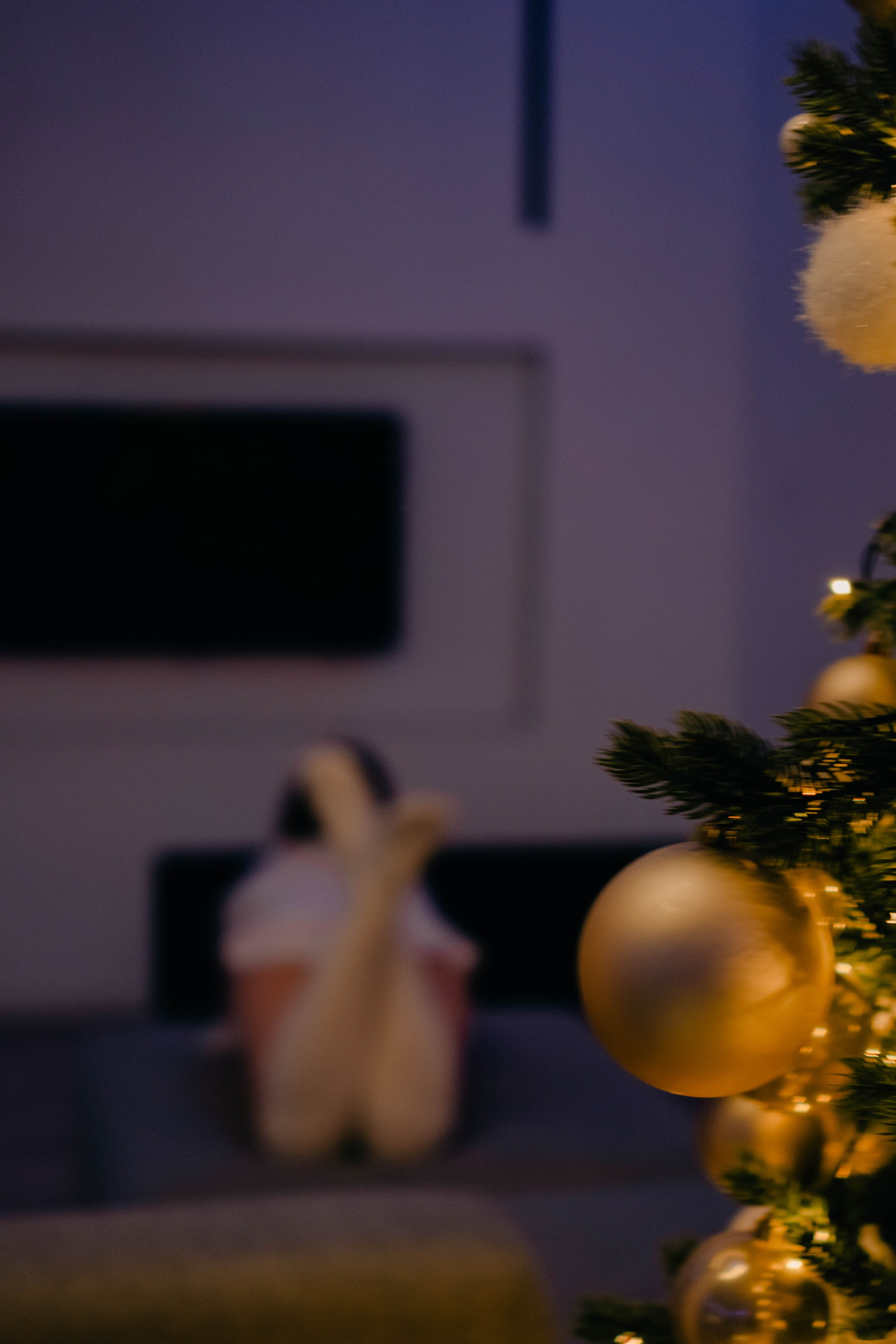 Новогодняя. Профессиональный фотограф, Санкт-Петербург — Виктория Богомолова