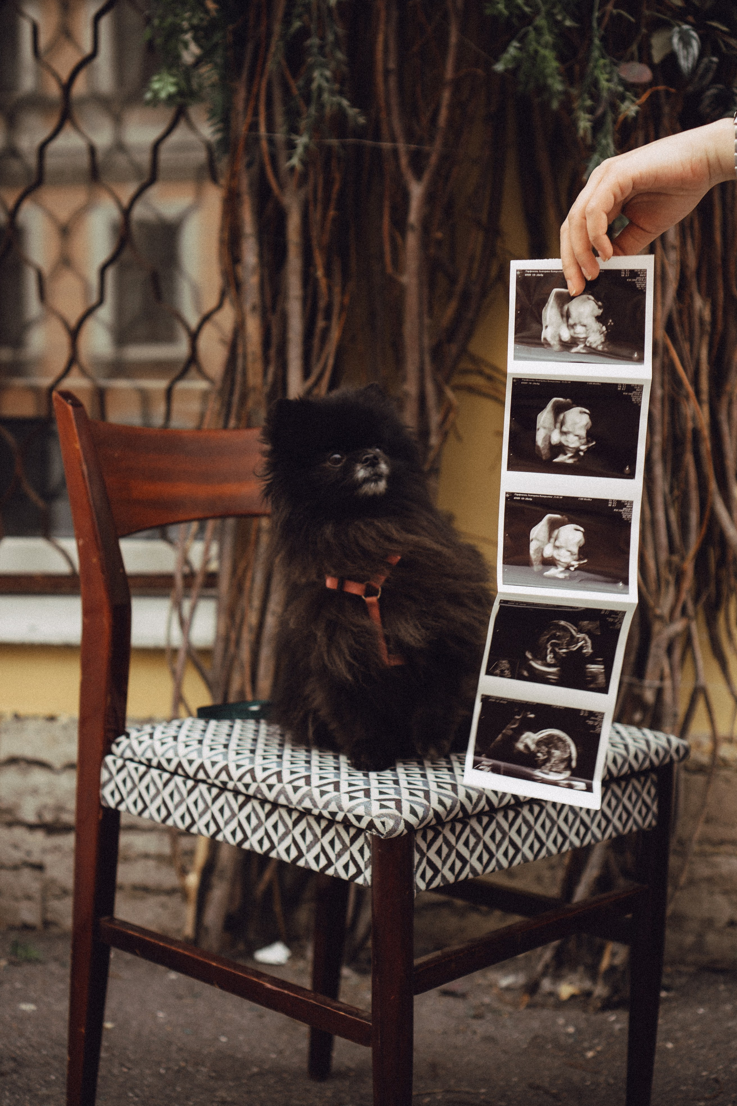 Беременность (только часть фото по желанию клиентов могу показать)). Профессиональный фотограф, Санкт-Петербург — Виктория Богомолова