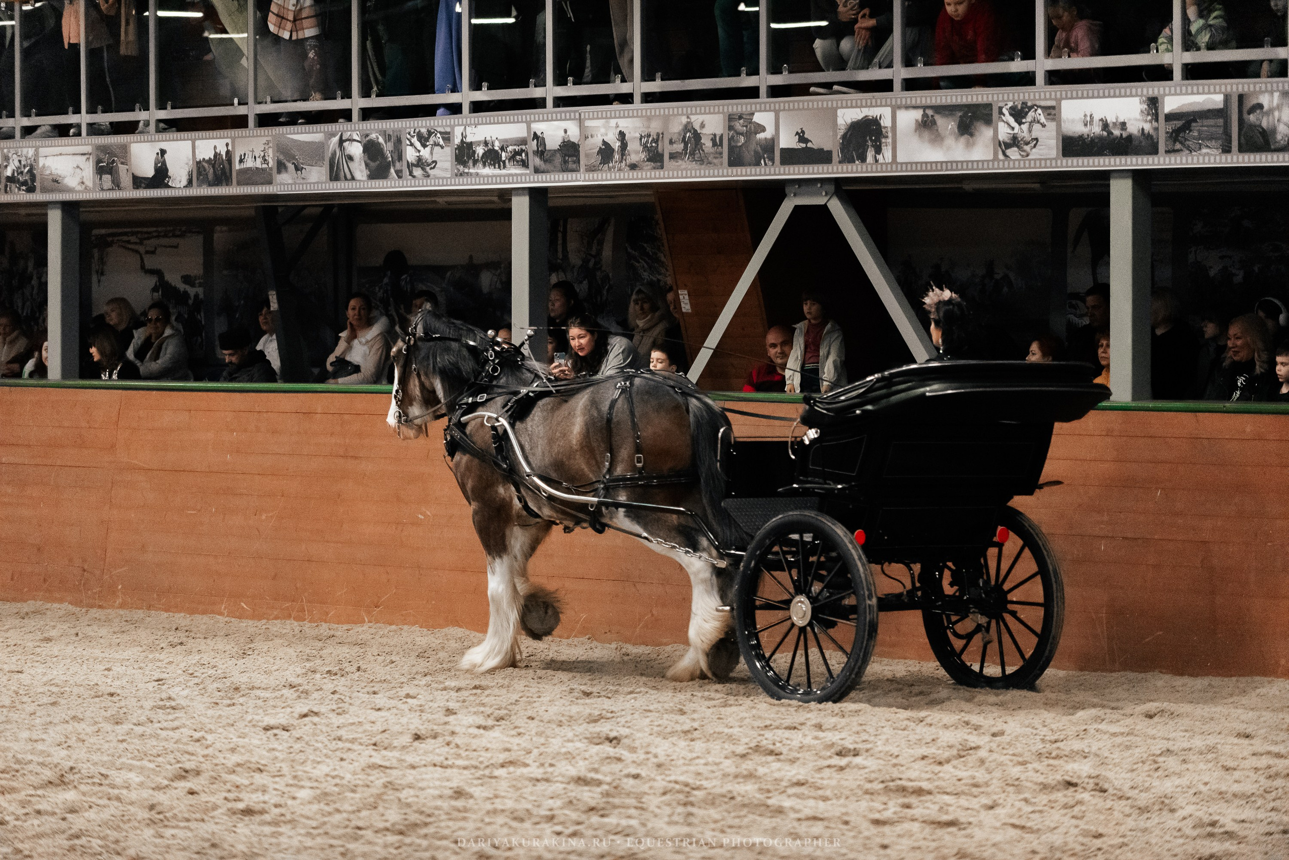 Конное представление «Дыхание Звёзд». Конный фотограф Куракина Дарья • Фотосессии с лошадьми