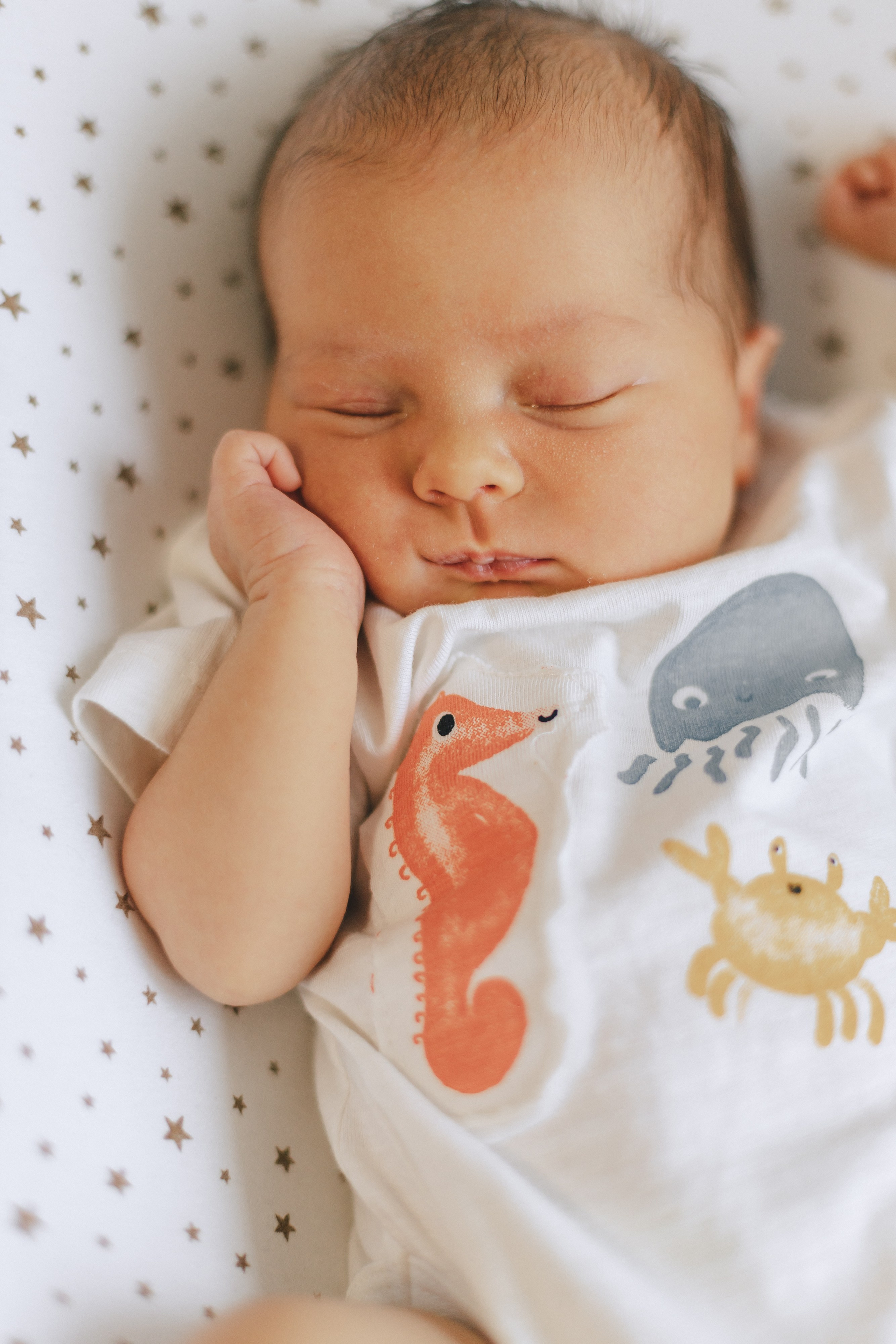 Ира, Леша, Максим и Майя. Фотограф Таганрог Любимая Надя