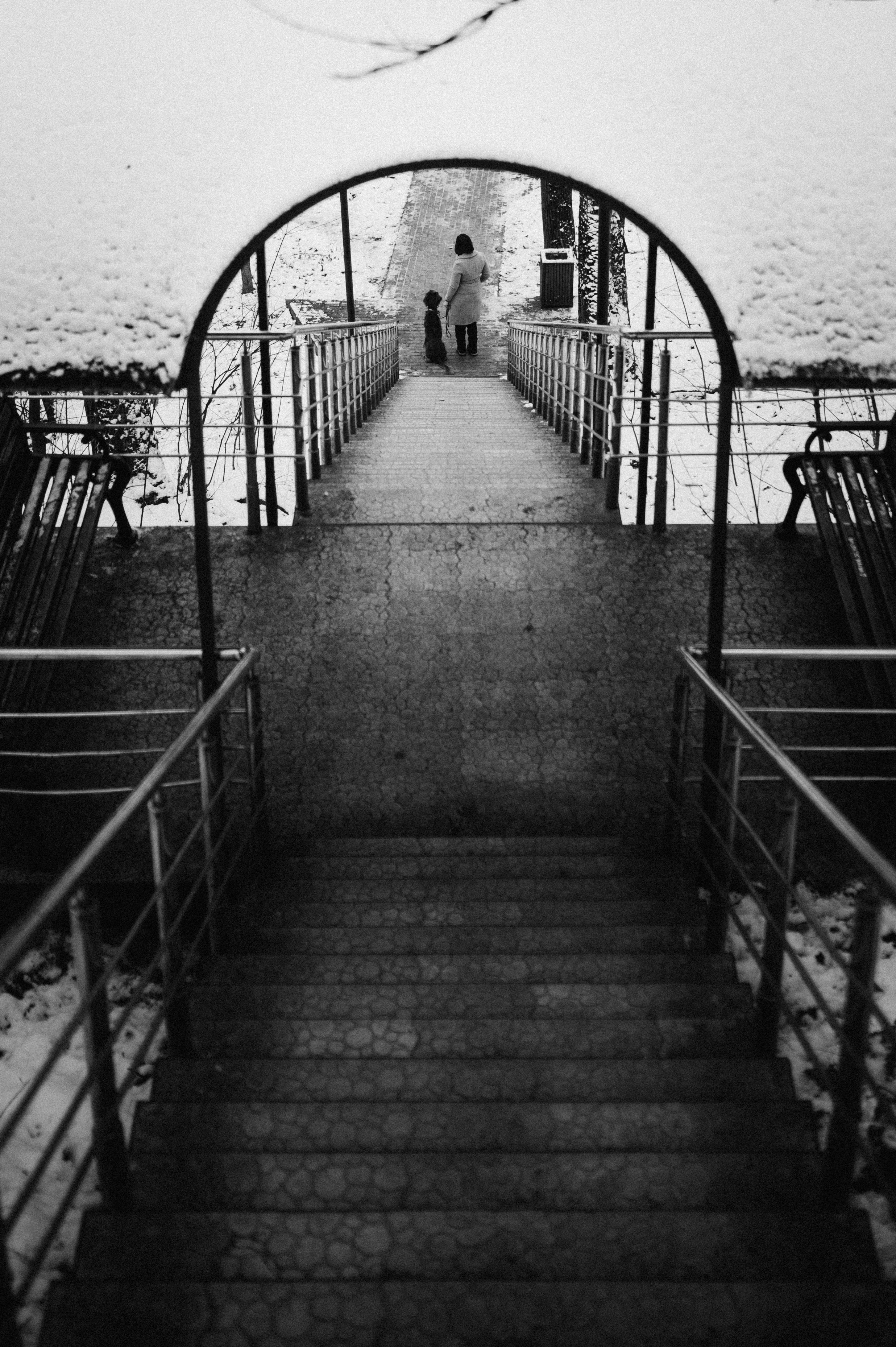 Маша и Лика. Семейный фотограф анималист Ананьева Мария — Москва