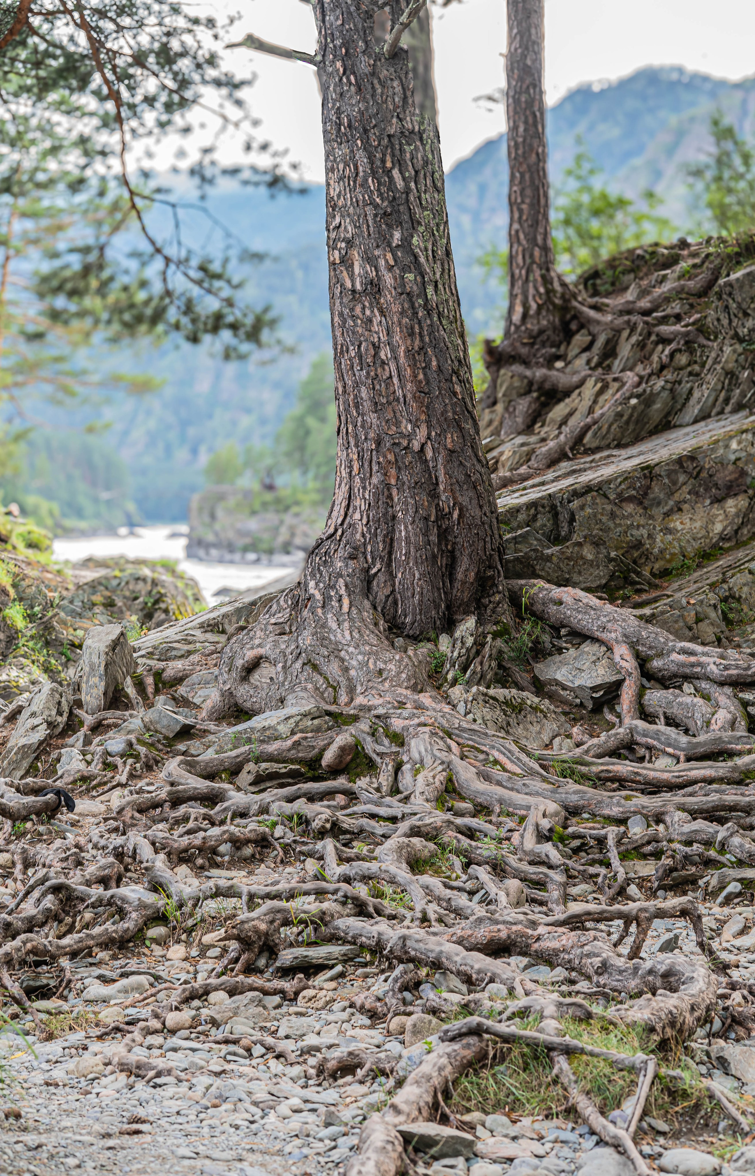 Фотосессия на природе Новосибирск Краснообск