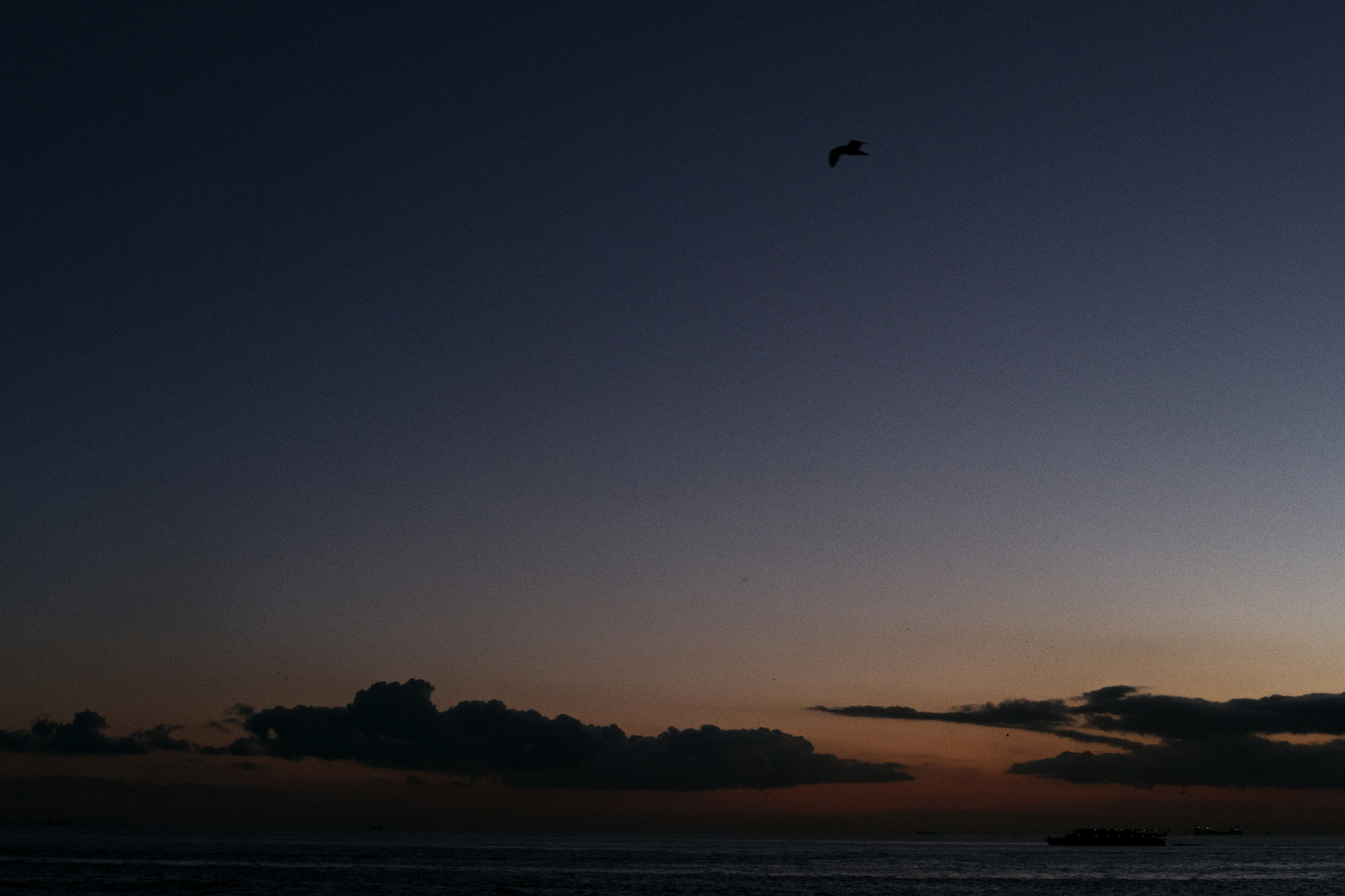 Kadikoy x Moda, Istanbul / Türkey AW25. Фотограф Юрин Евгений