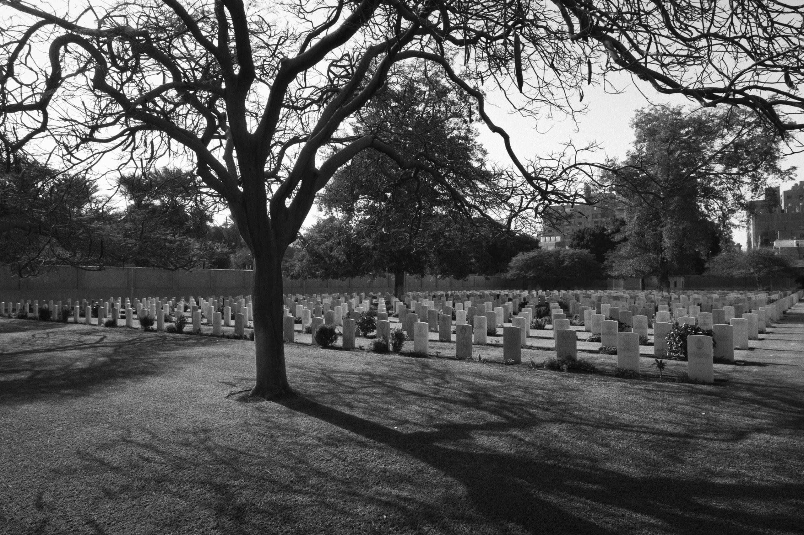 War Memorial Cemetery / Cairo, Egypt AW25. Фотограф Юрин Евгений