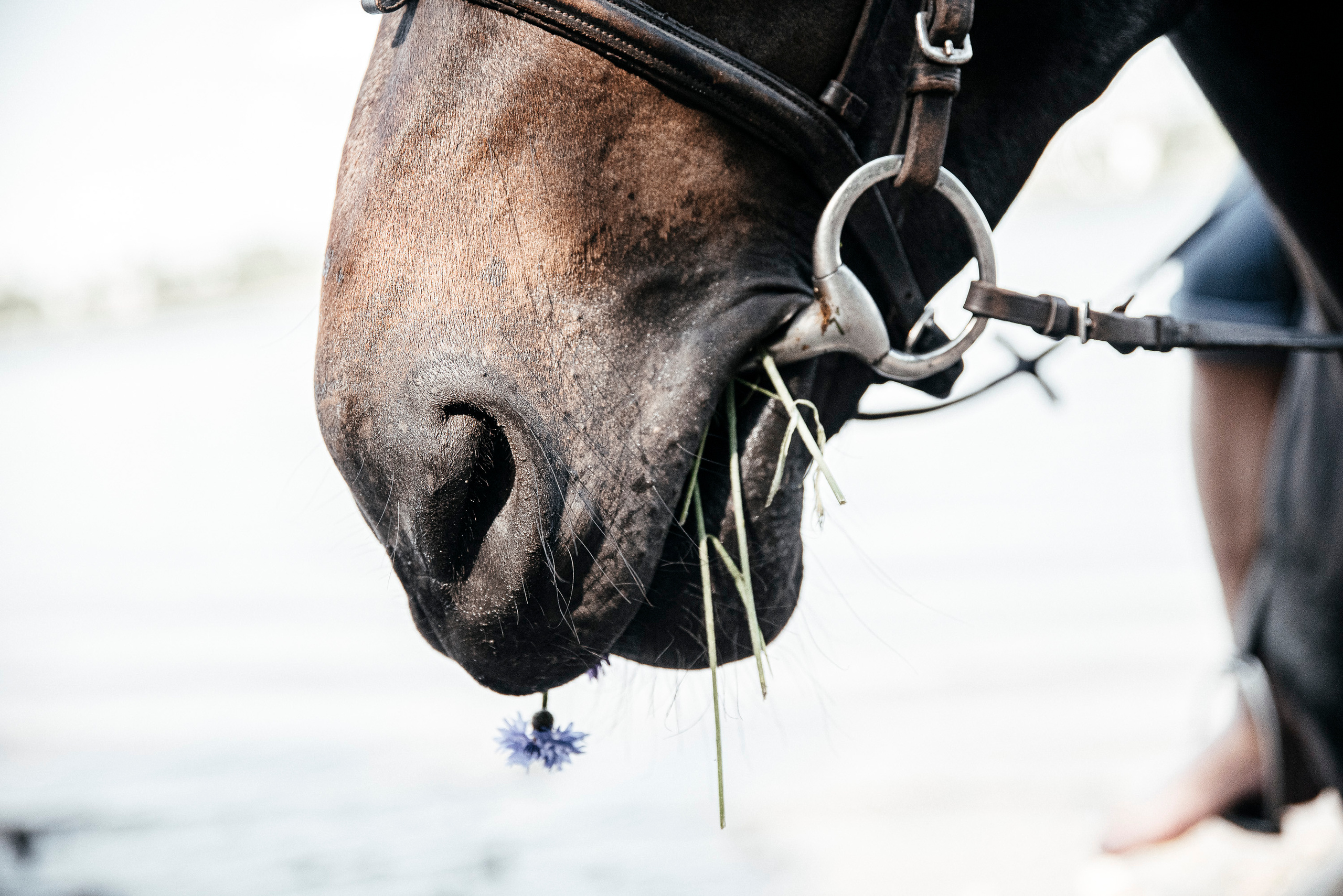 Семейная фотосессия