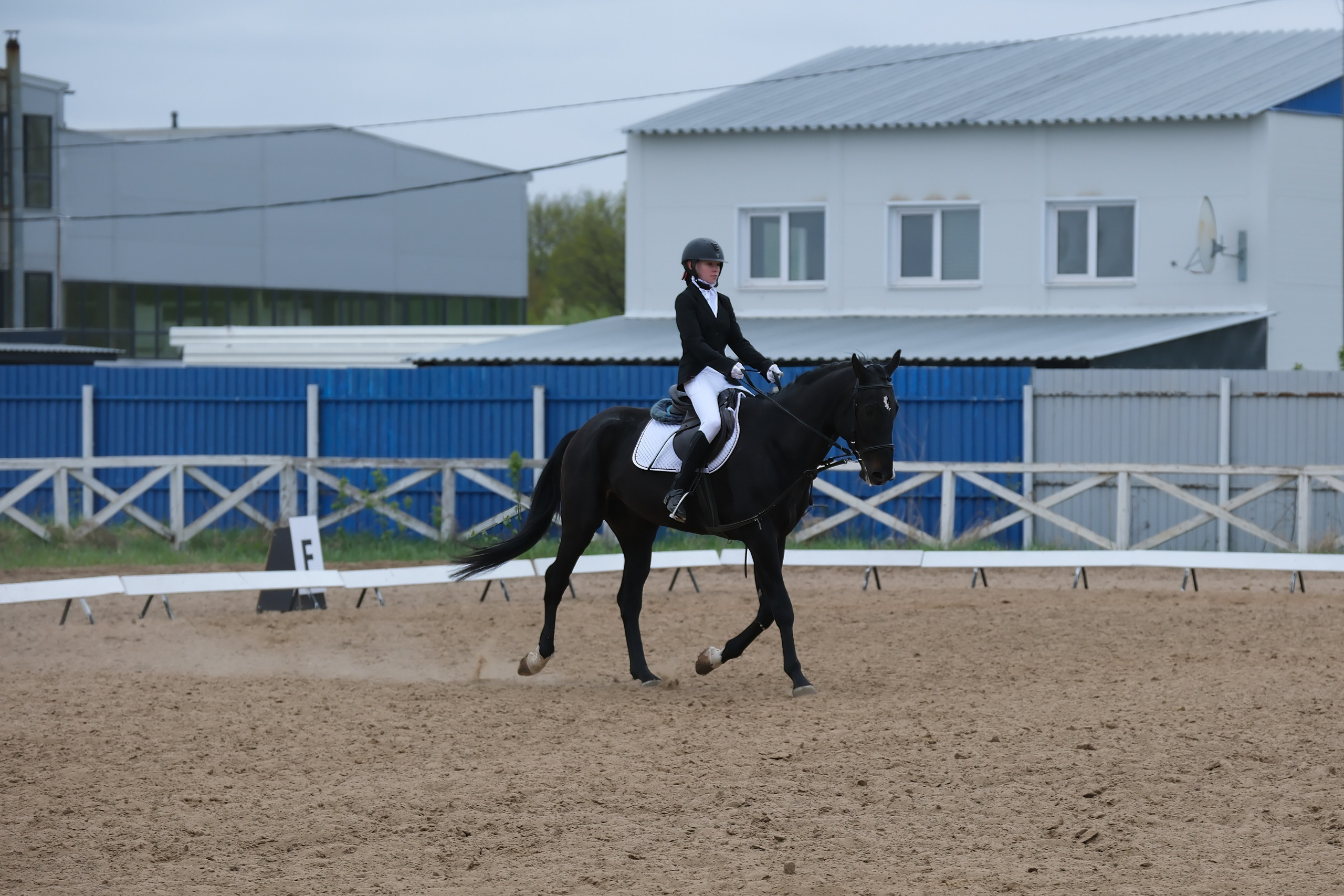 Соревнования по конному спорту в КСК «АЛЛЮР»!. Добро пожаловать в студию «Цифровой скульптор»  где искусство встречается с технологиями!