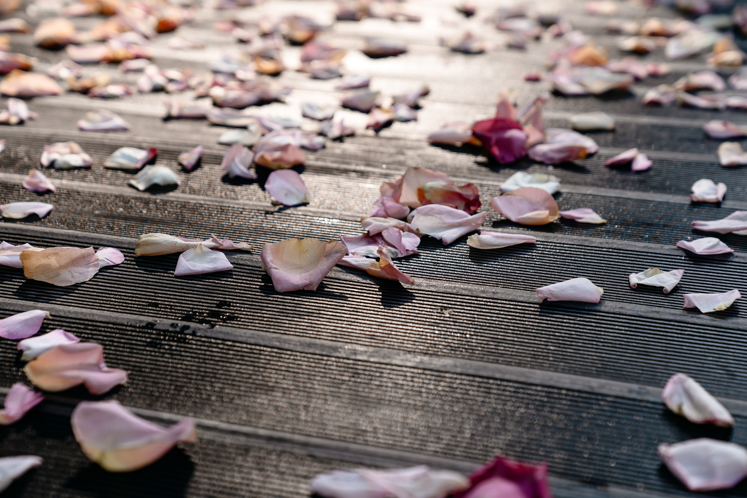 Амир и Оля. Свадебный и репортажный фотограф в Москве Андрей Вайман