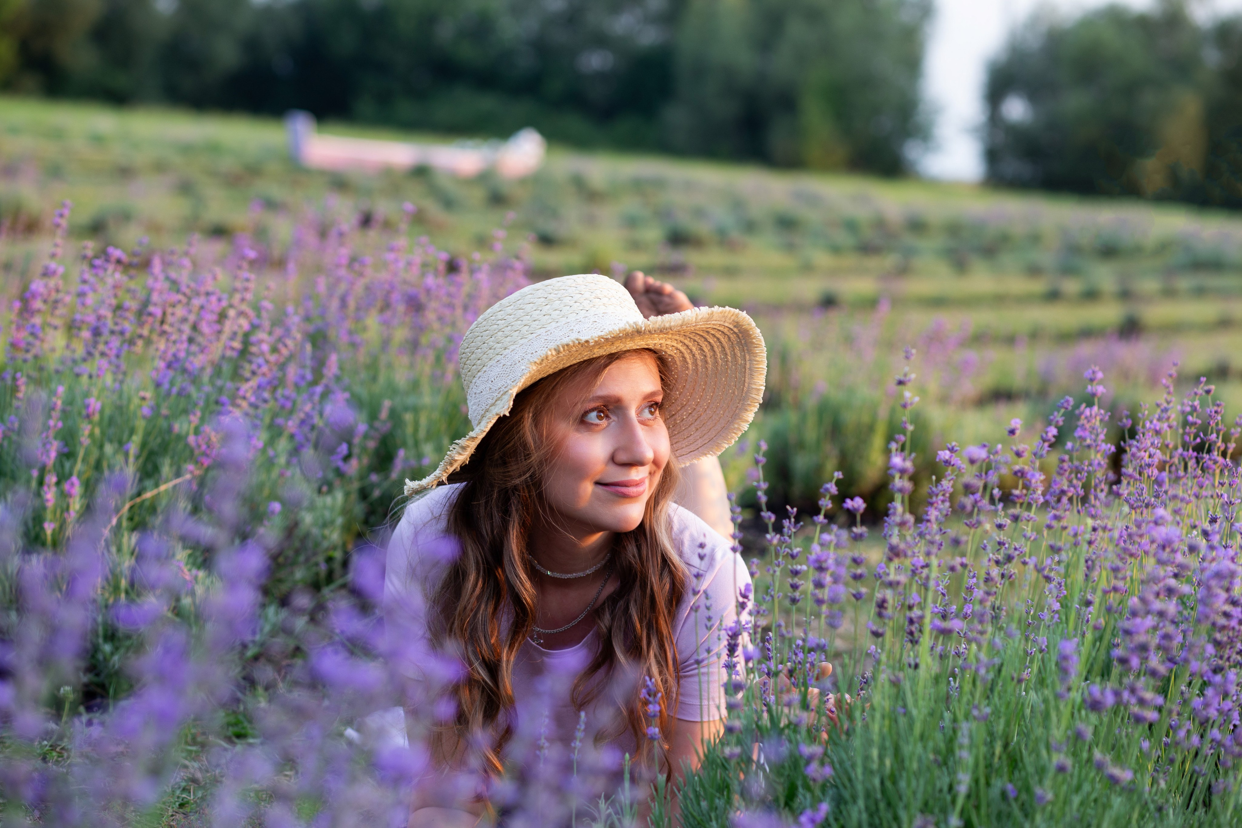 фотосессия   в лаванде воронеж , лавандовое  поле воронежская  область, 