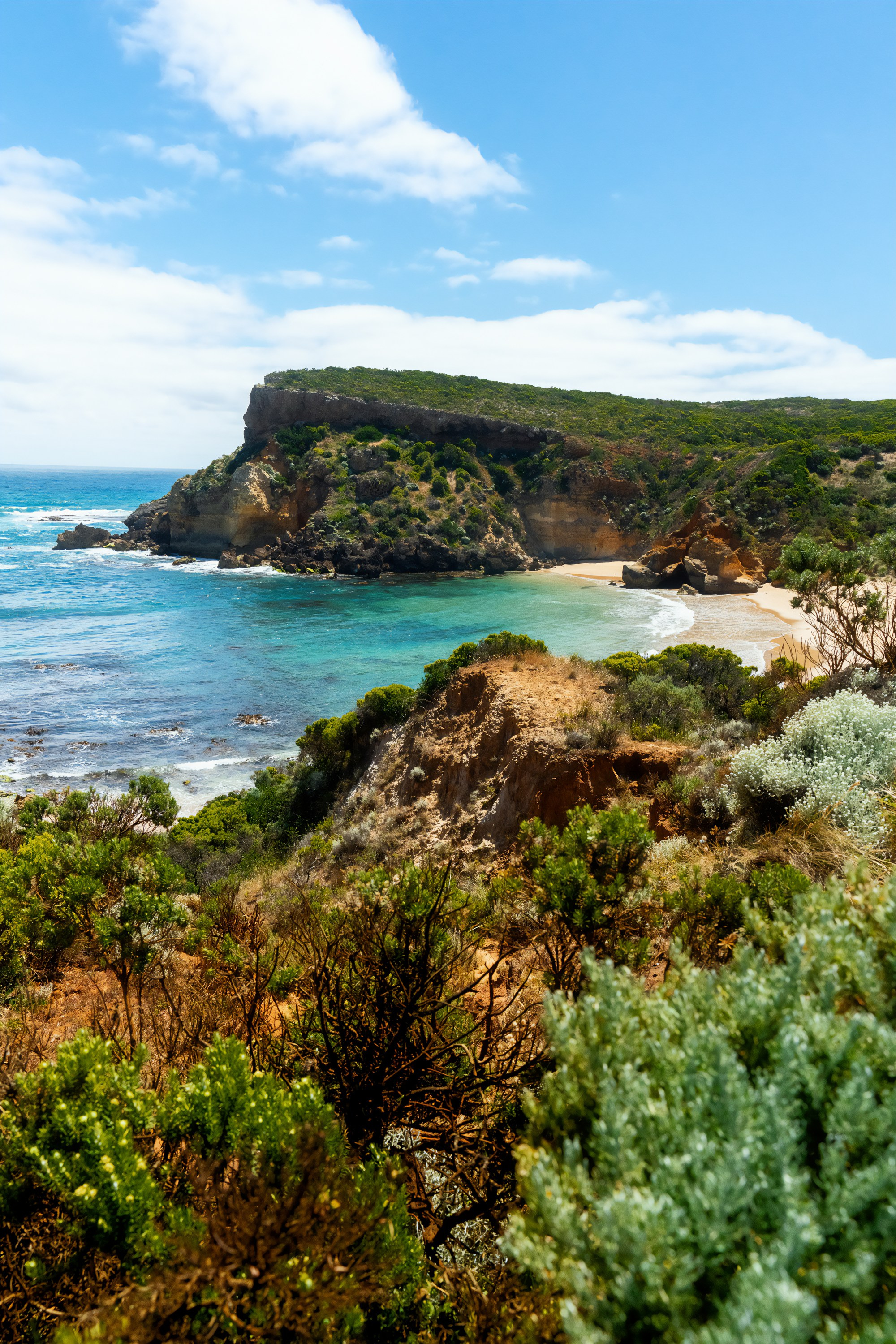 Австралия. Фотограф в Хабаровске. Фотография за 24 часа