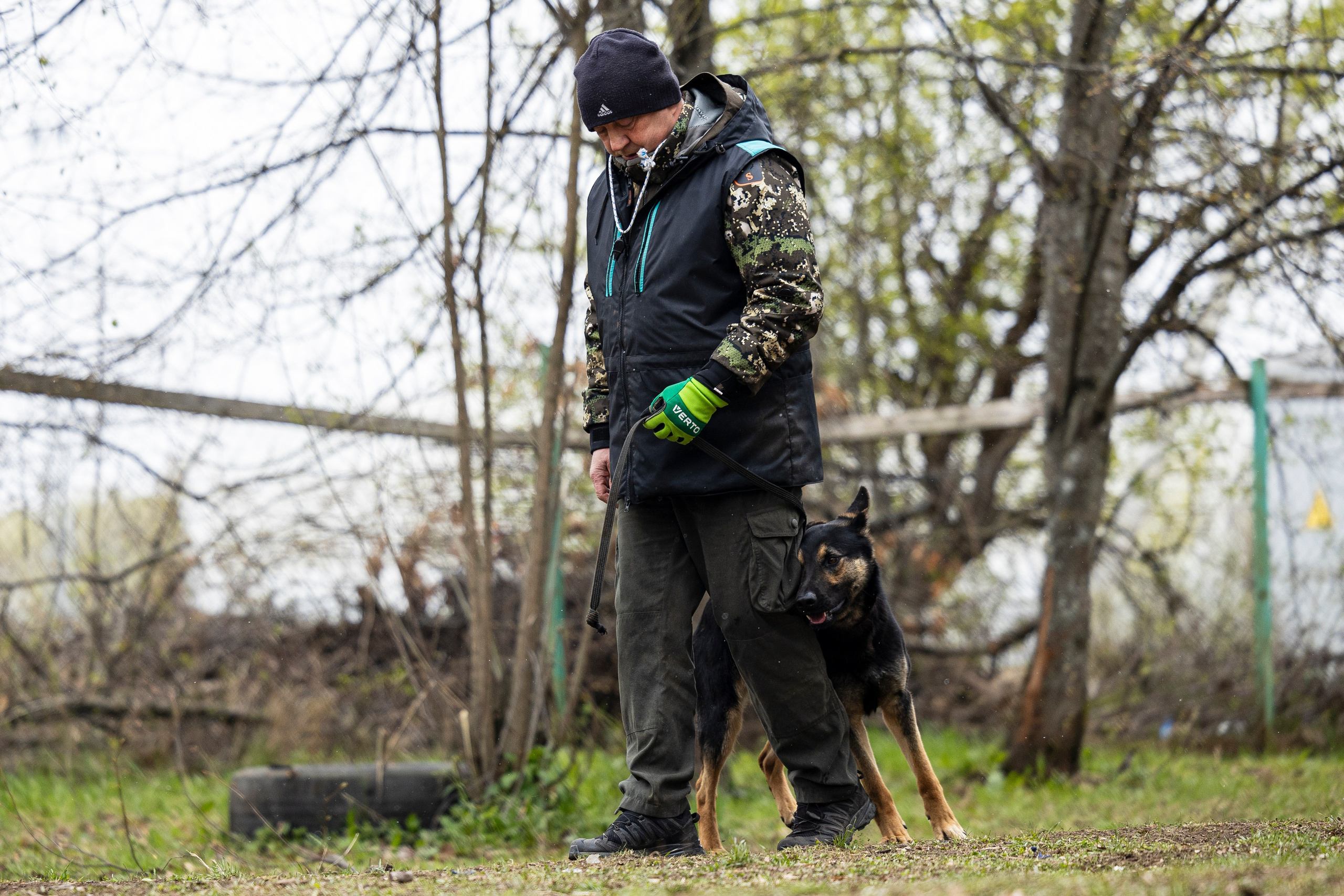 Квалификационные состязания по мондьорингу г. Вологда 11.05.24. Фотограф-анималист Анна Маринич