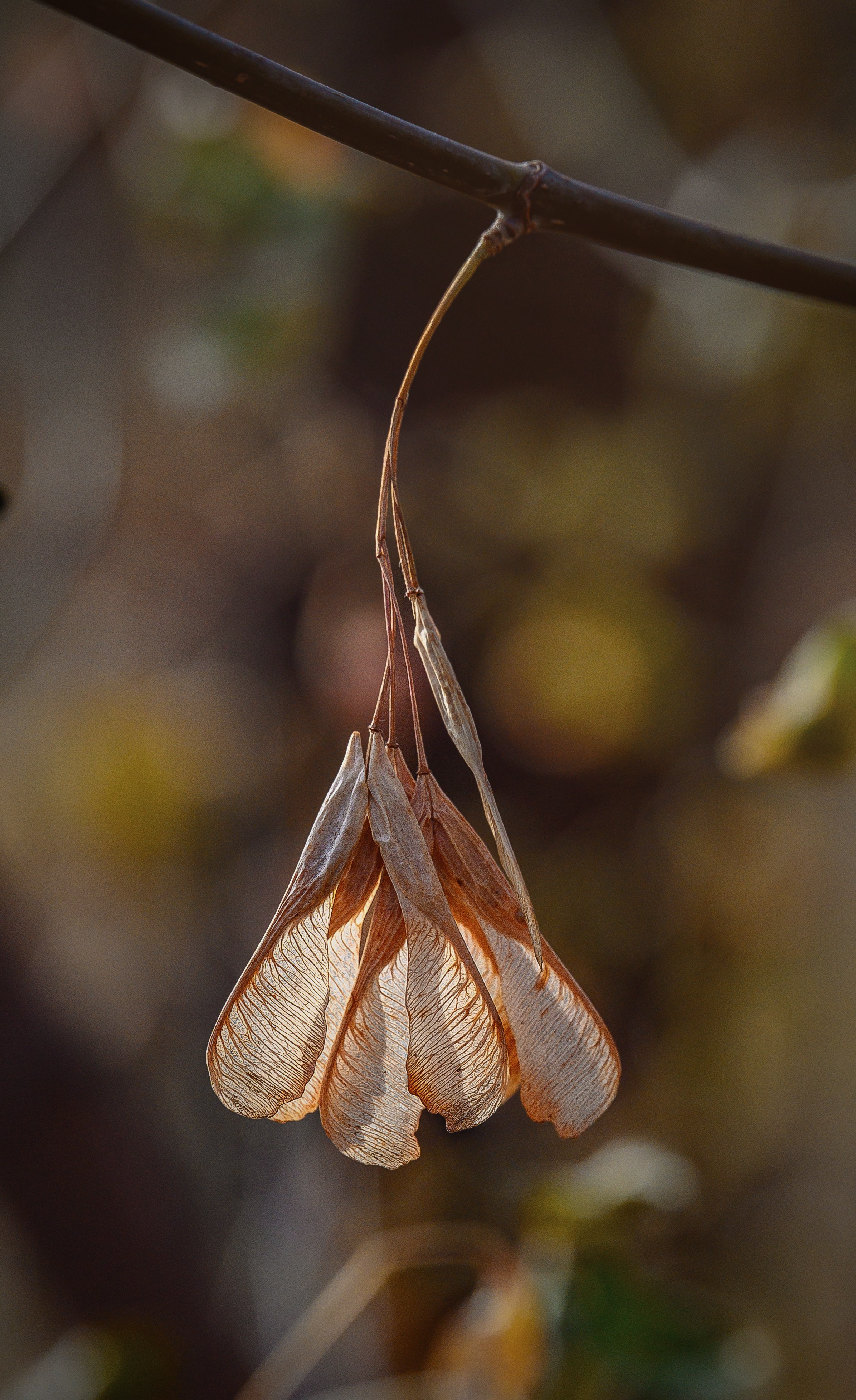 Осень. FotoGraf