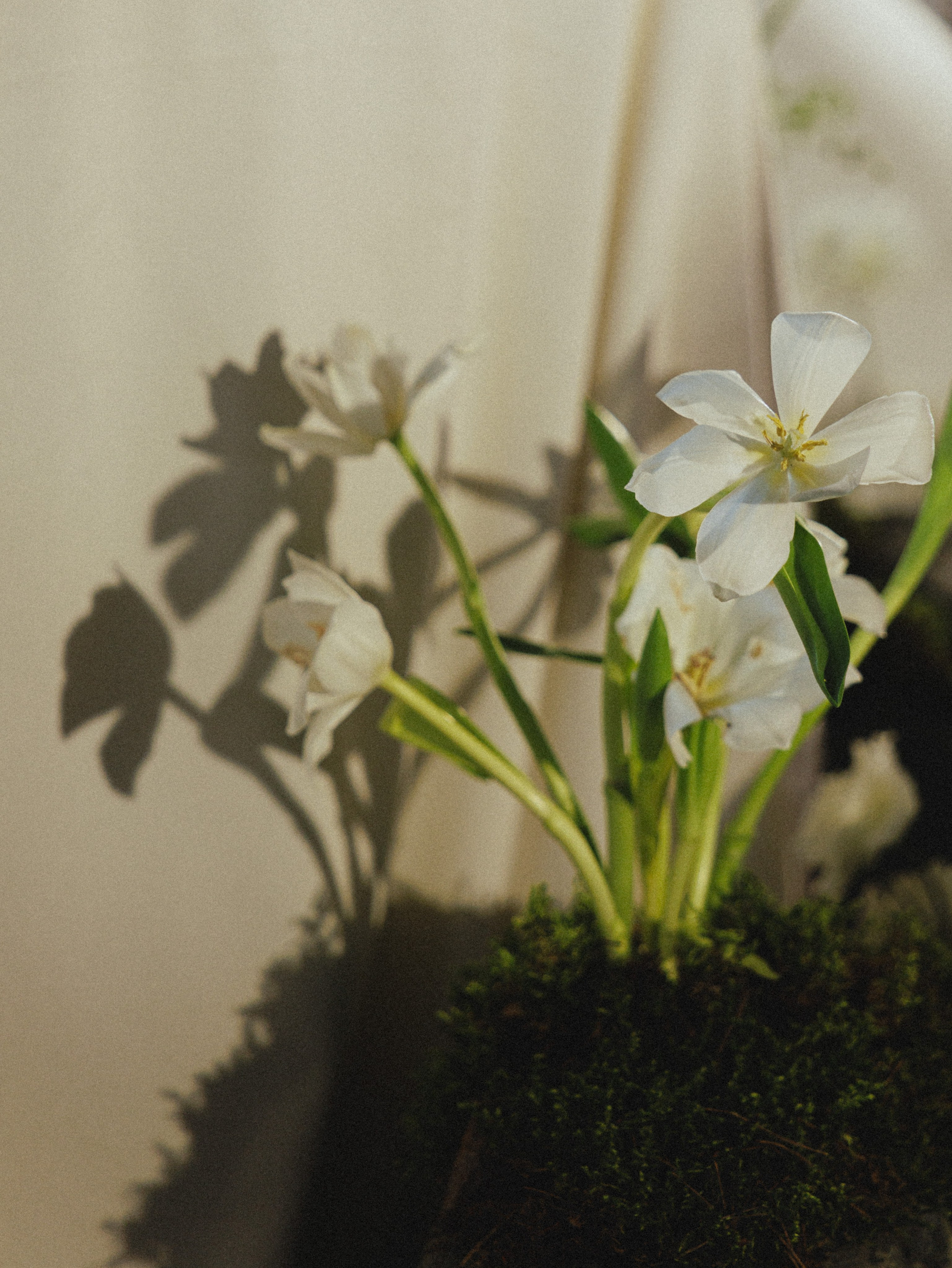 То, что дорого сердцу. Свадебный фотограф Москва Ирина Писарева