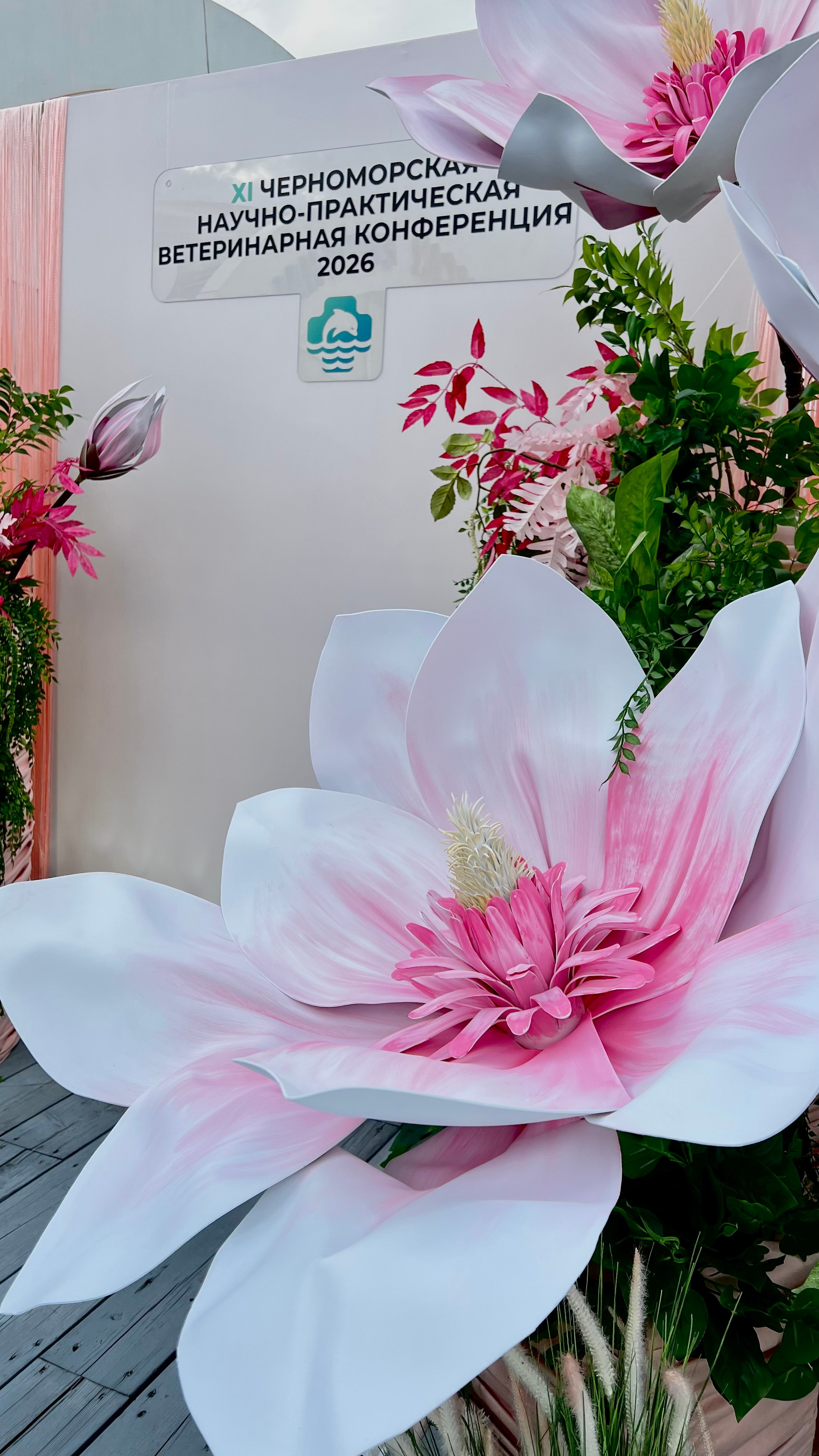 Ветеринарная конференция. VIZUAL DECOR Сочи — профессиональное декоративное оформление мероприятий, стильных входных групп и интерьерных пространств