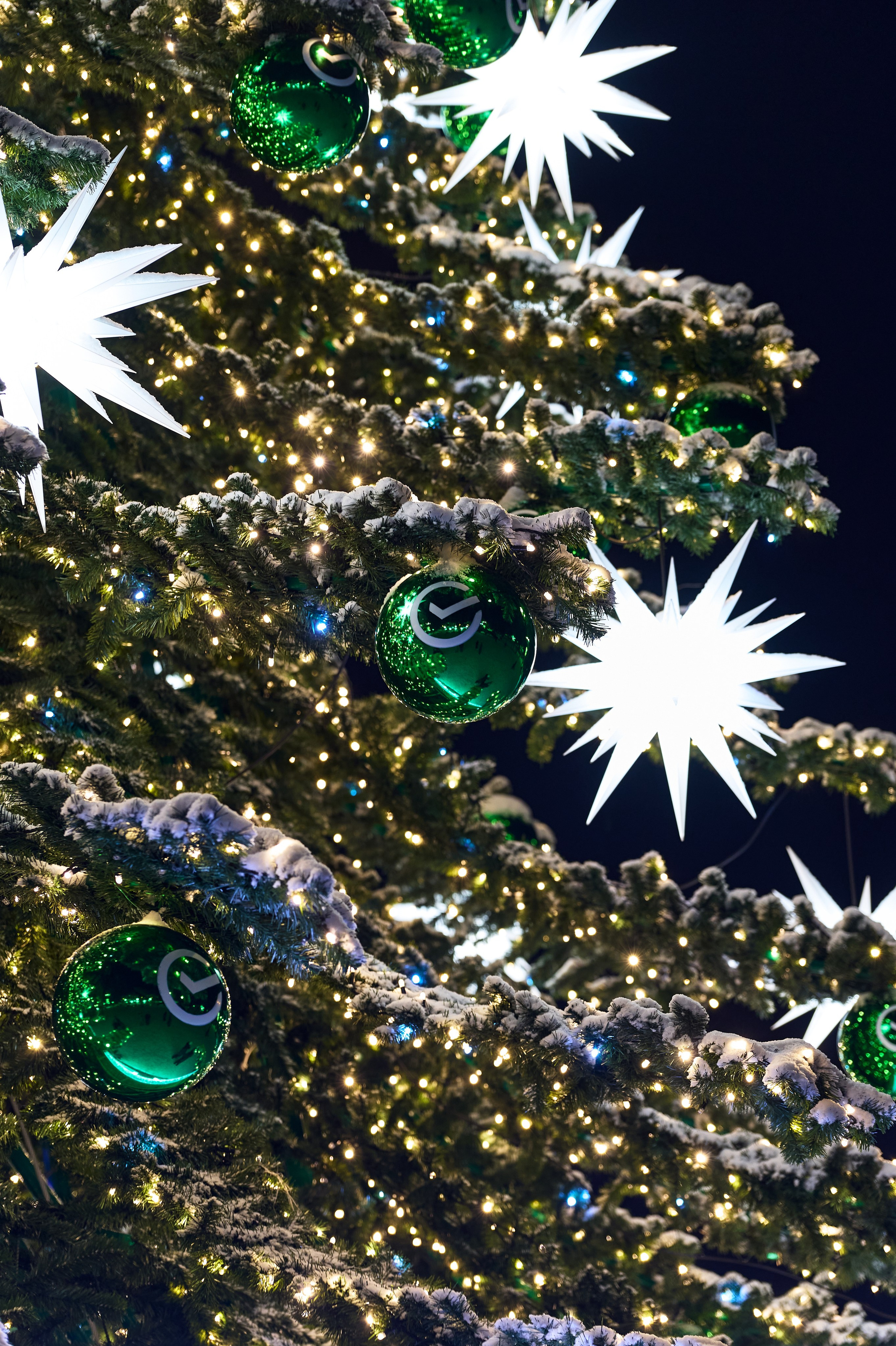 Новогодние украшения. Фотограф Опыт Качество Скорость Горный Алтай Барнаул