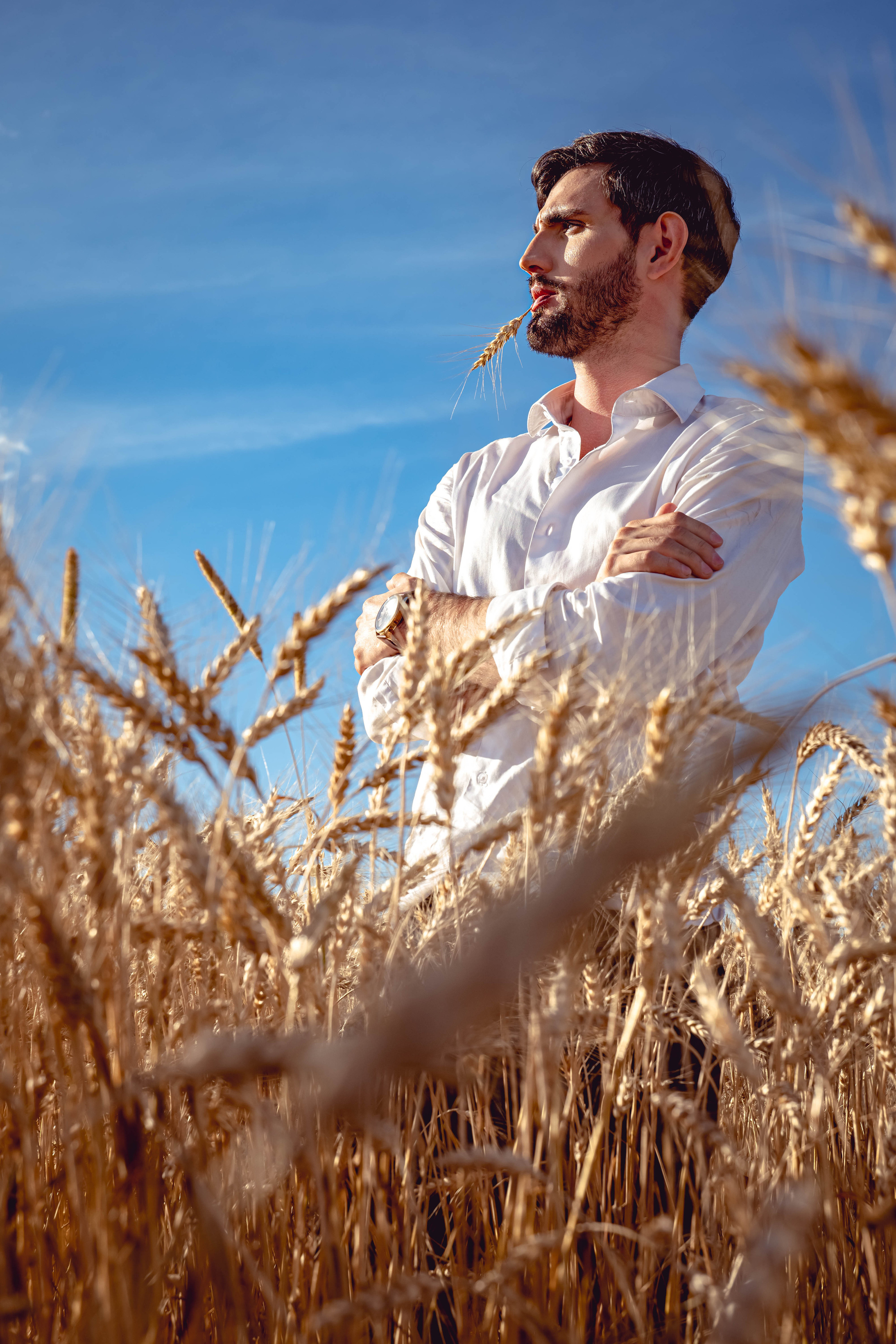 Иван в поле. Фотосессия в Спб в студии, фотограф Панютина Марина
