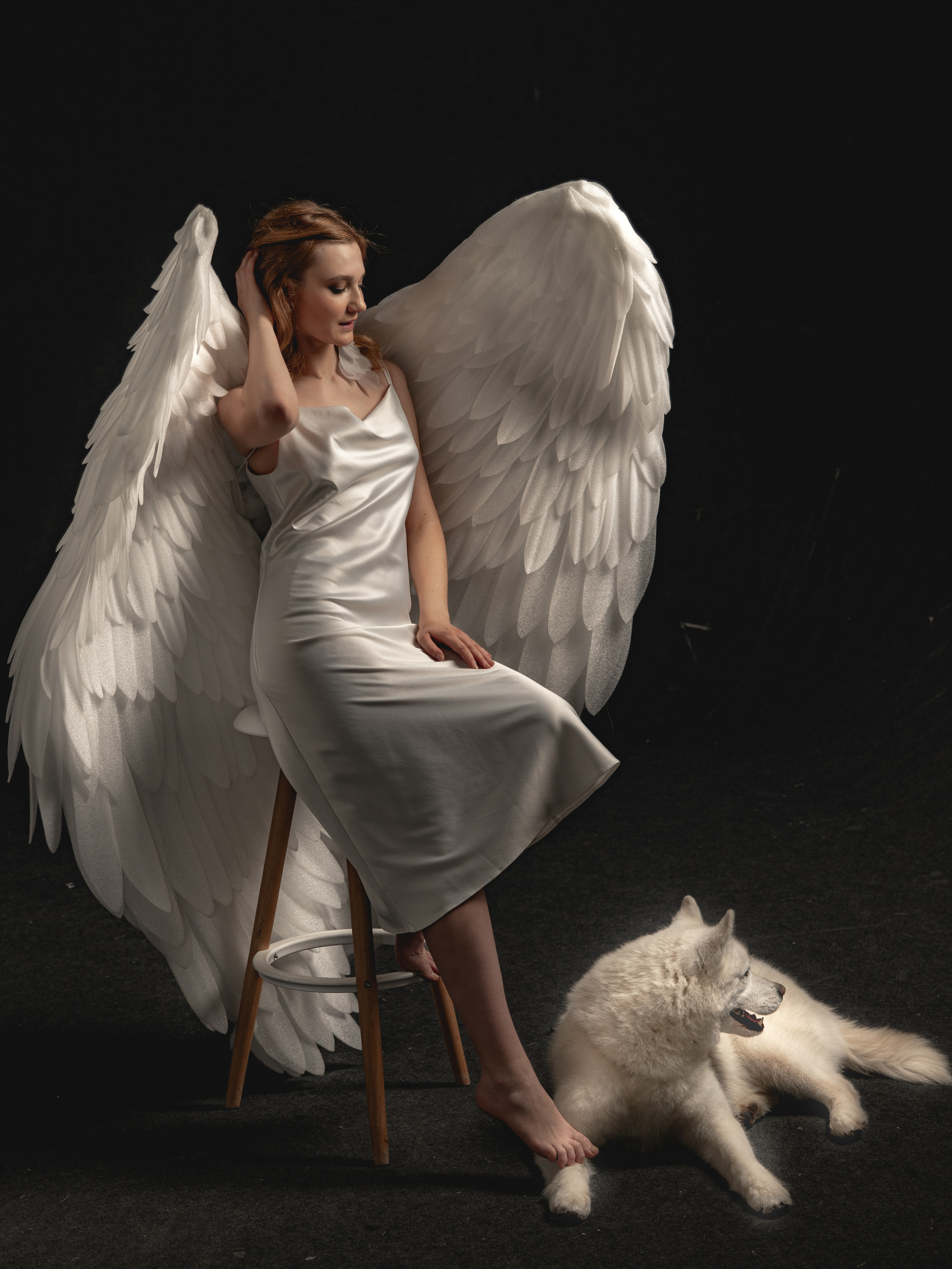 Хаски с Ангелами. Фотосессия в Спб в студии, фотограф Панютина Марина