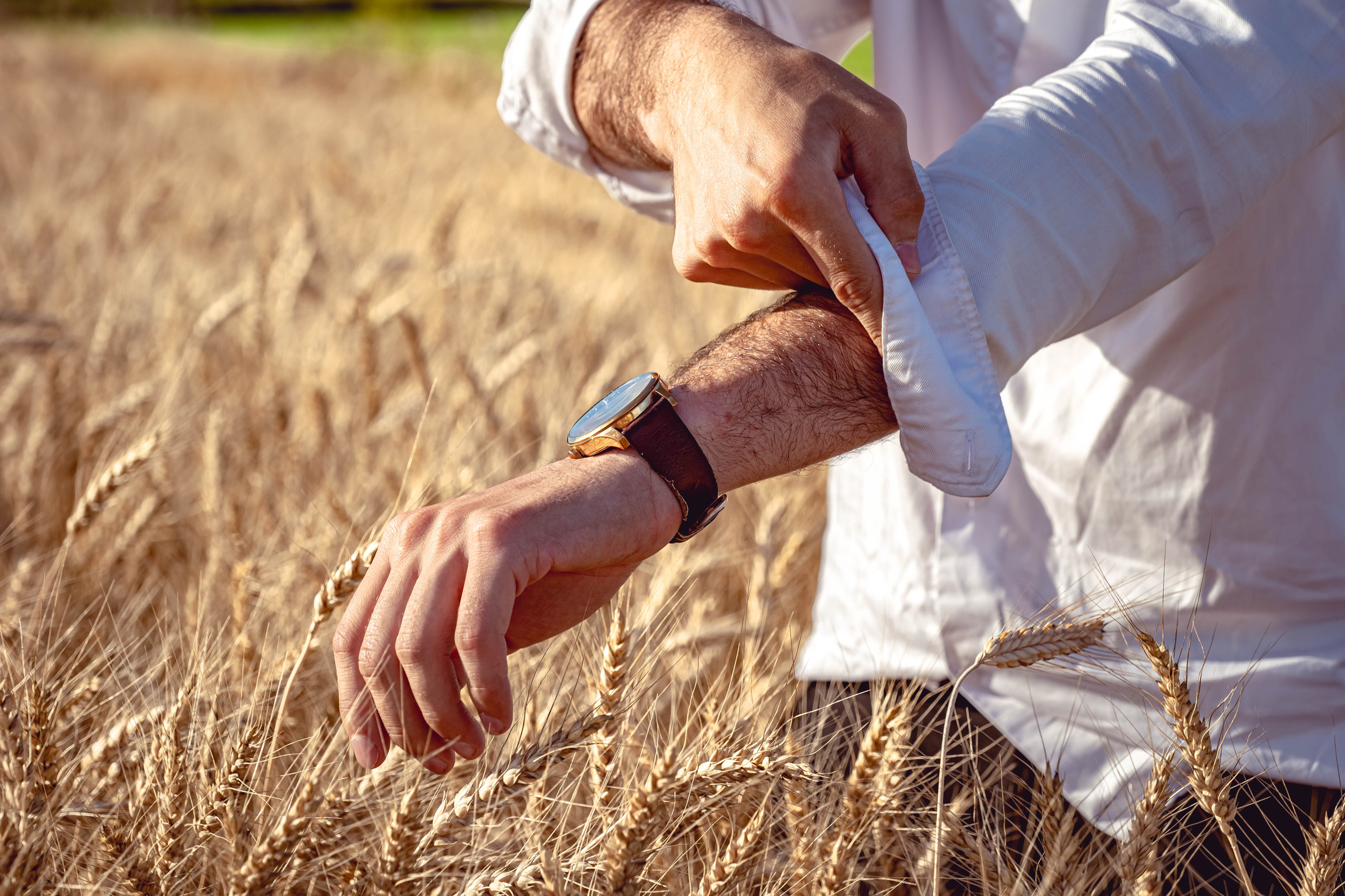 Иван в поле. Фотосессия в Спб в студии, фотограф Панютина Марина