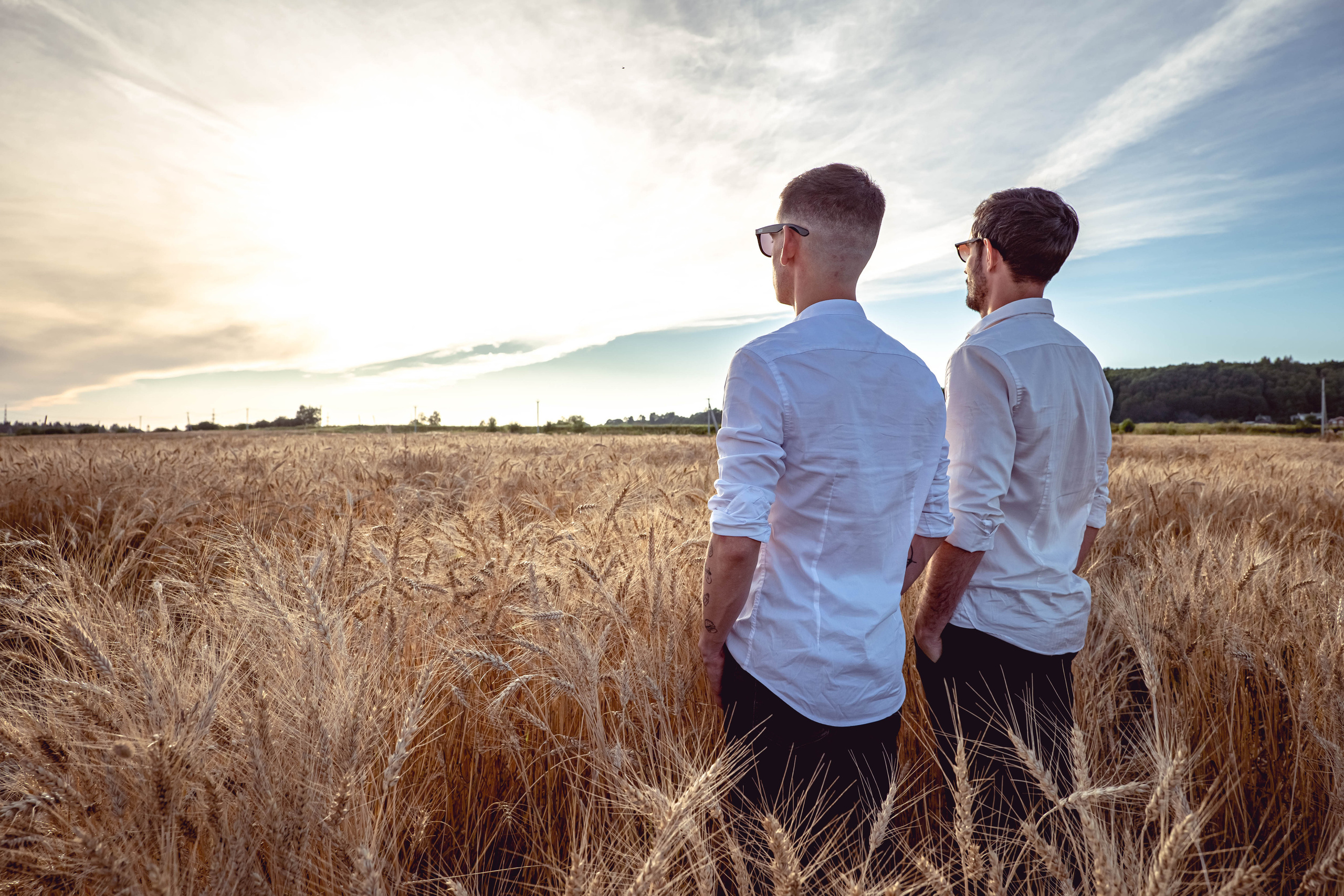Вадим и Иван в поле. Фотосессия в Спб в студии, фотограф Панютина Марина