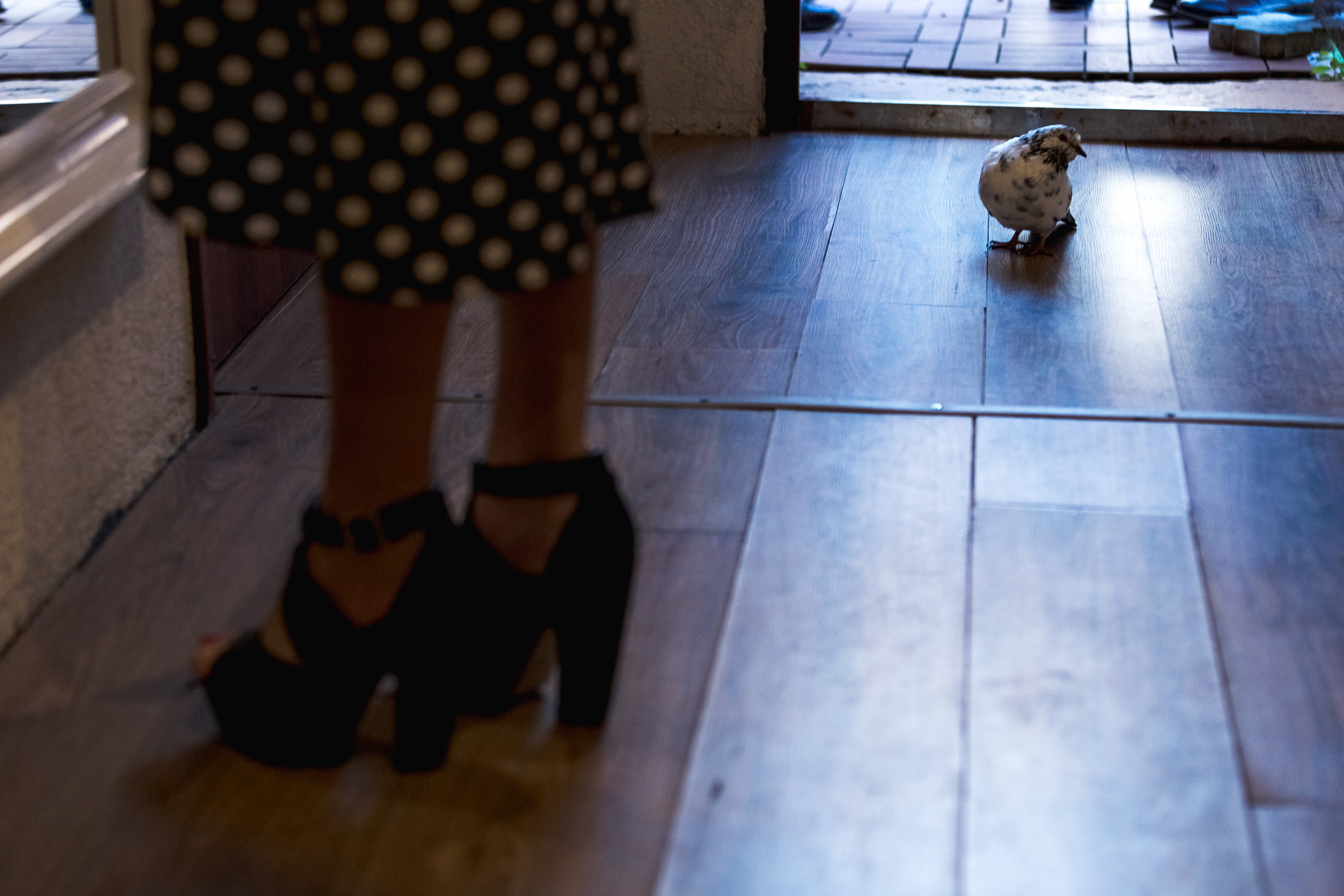 Анонс со свадьбы Алексея и Александры 07.09.2019. Блог фотографа Петра