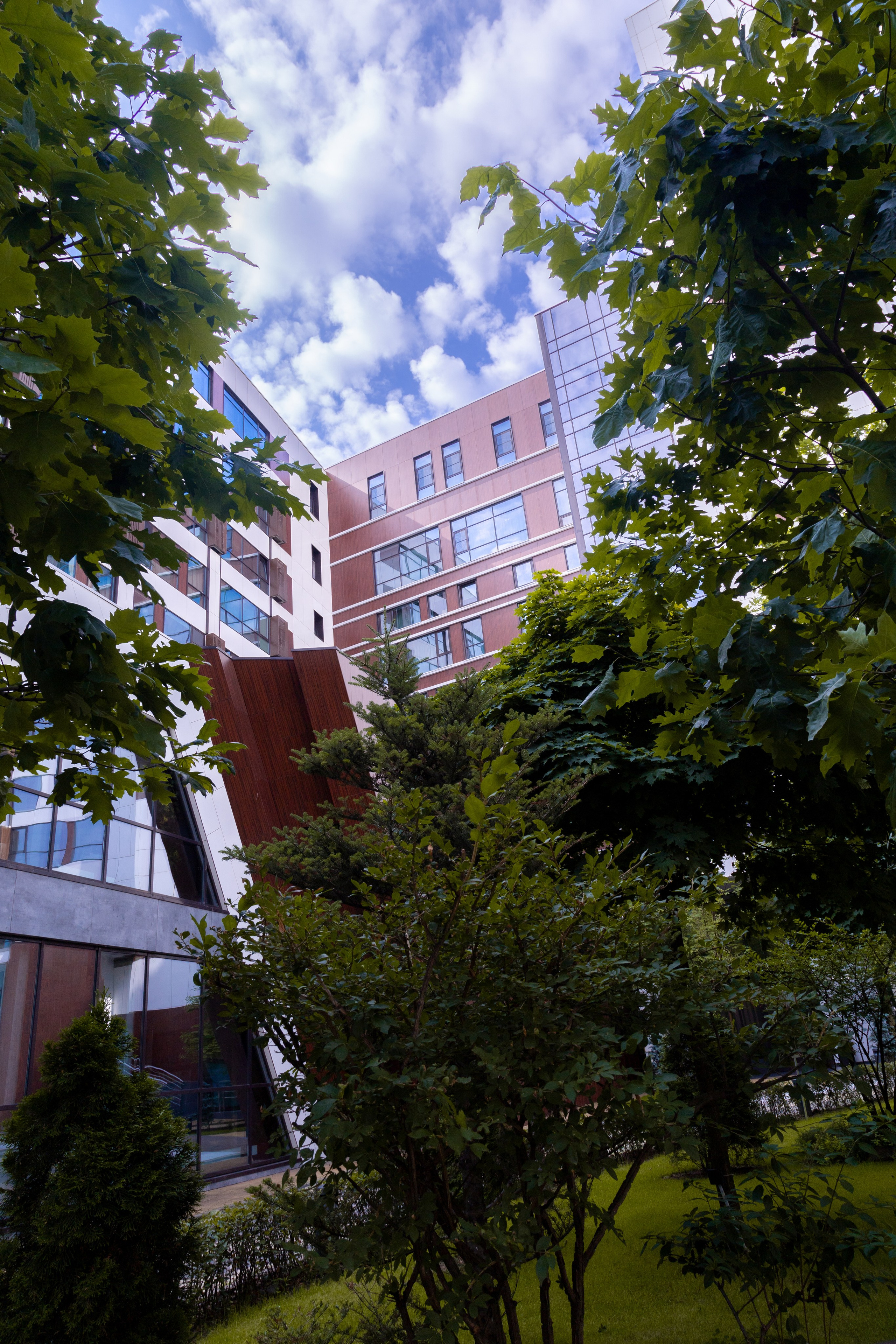 Stone yoga. Репортажный фотограф, портретный фотограф  г. Москва