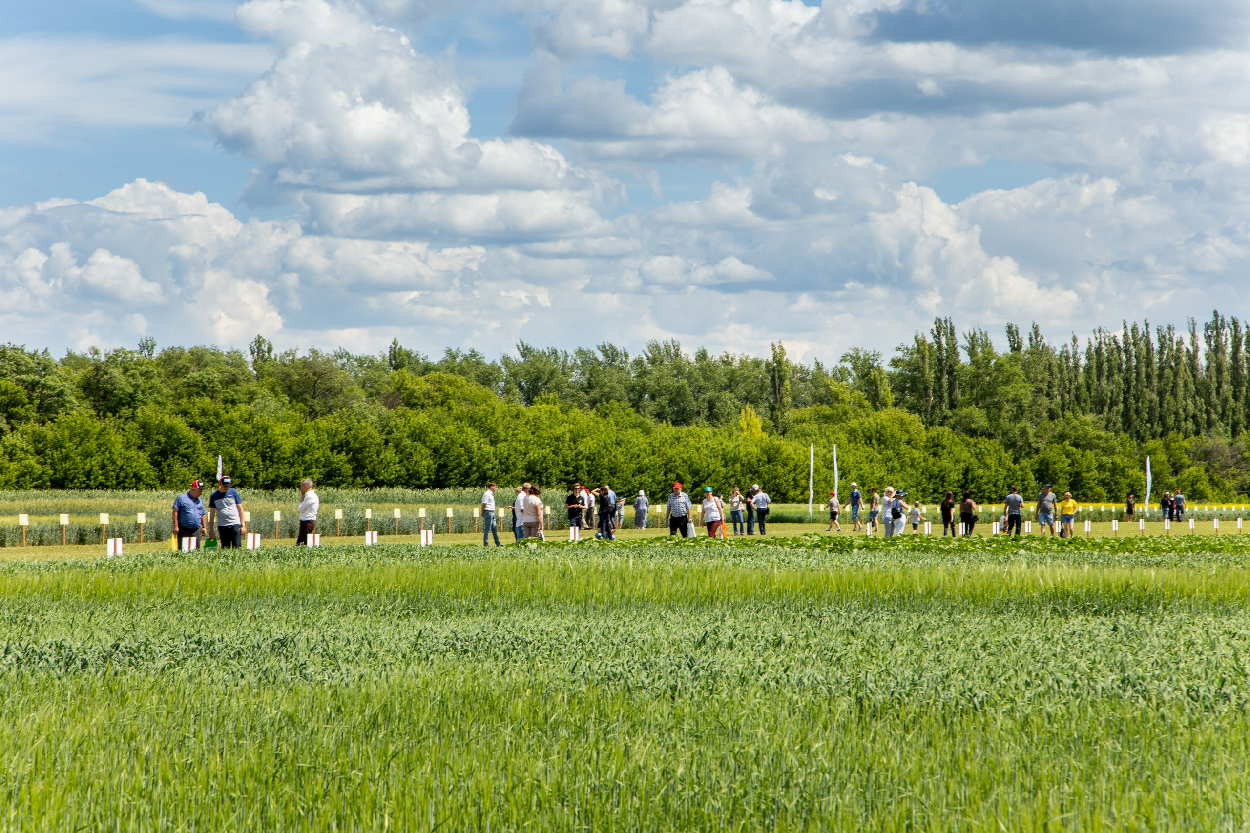 День Поля 2022. Владислав Волков | Фотография и видеосъемка в Воронеже