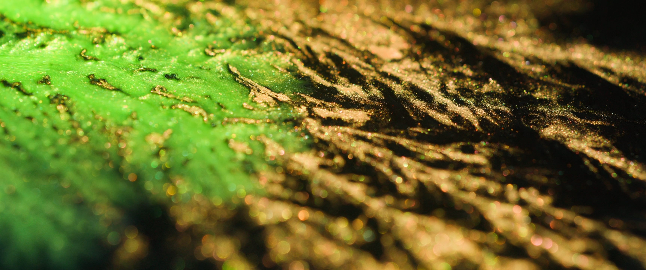 Genesis. Short films by Vadim Sherbakov