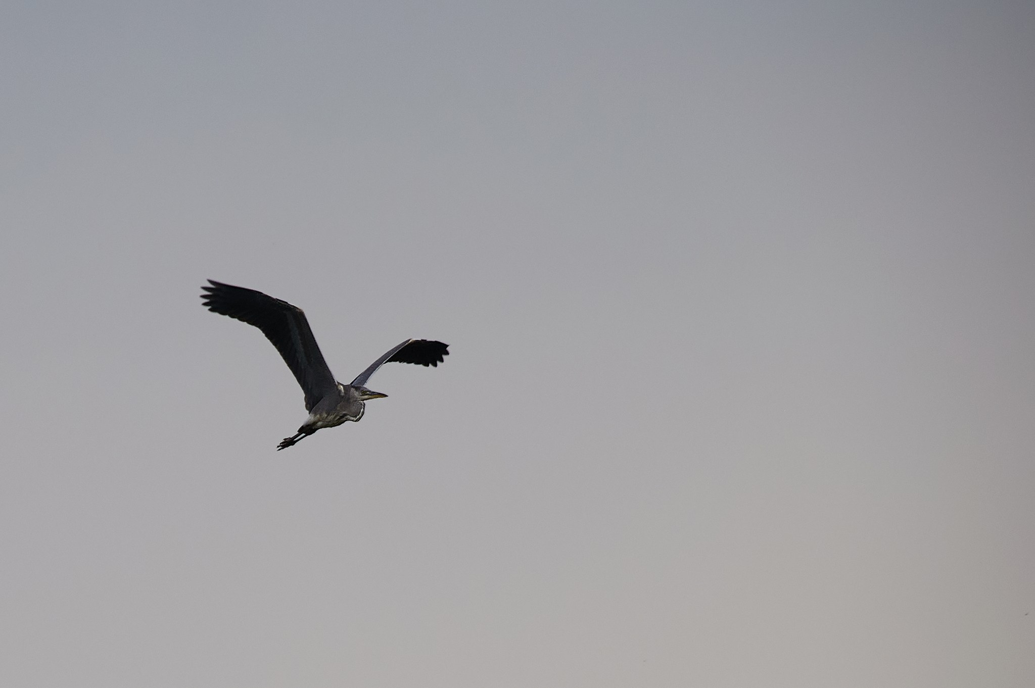 Заповедные уголки Земли: обитатели дикой природы. Координаты красоты — география в фокусе